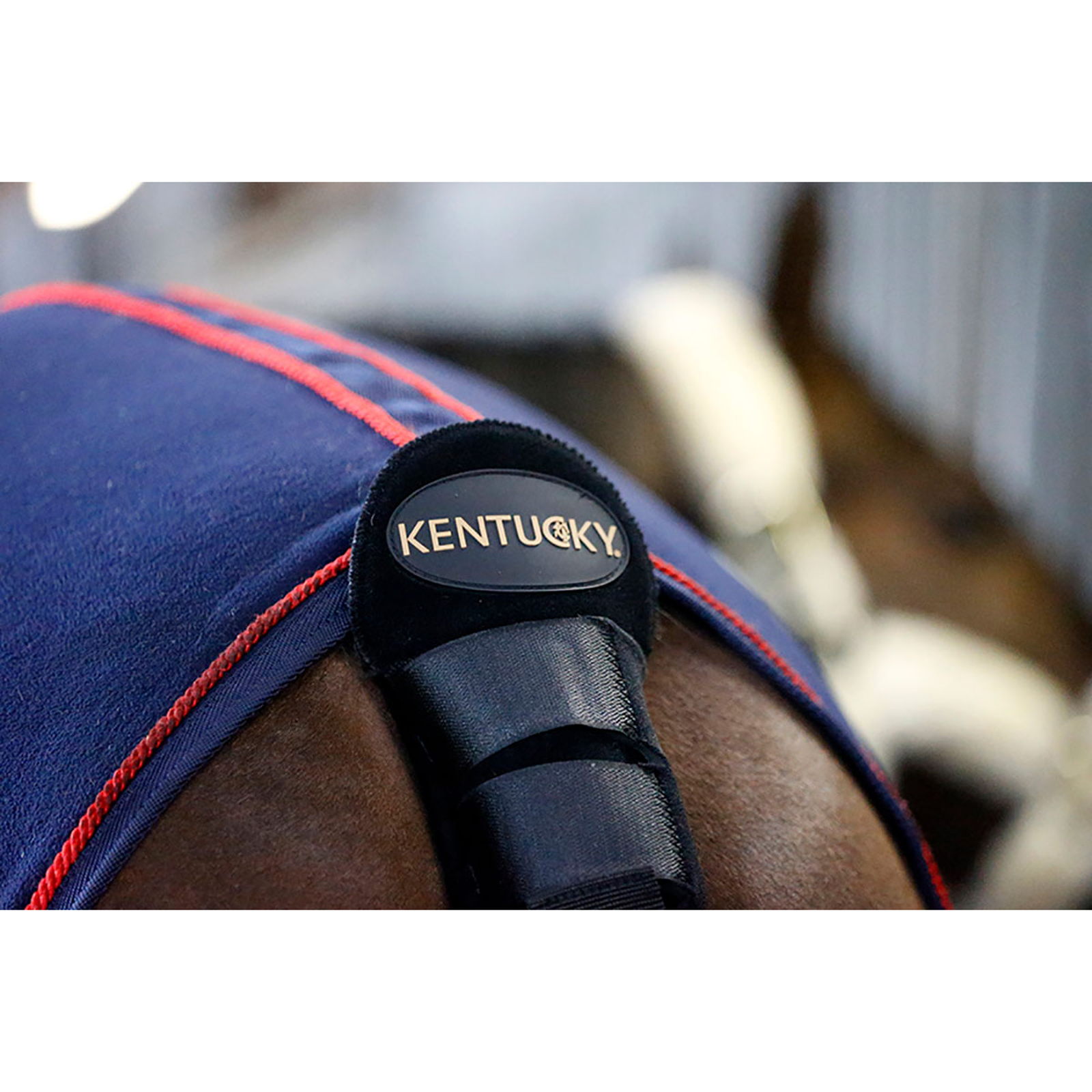 Kentucky Horsewear Schweifschoner / Schweiftasche
