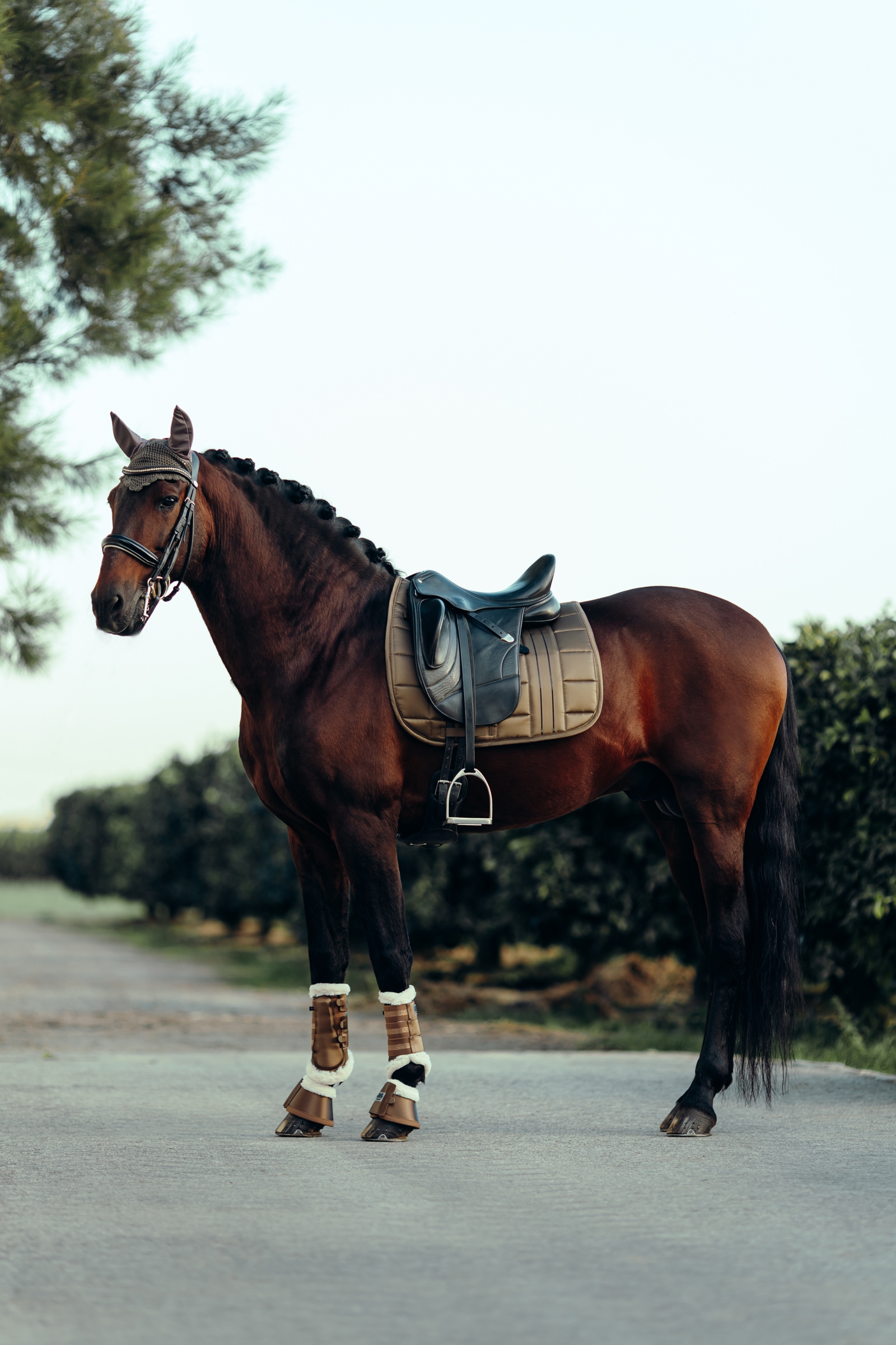 B Vertigo Drew Fliegenhaube