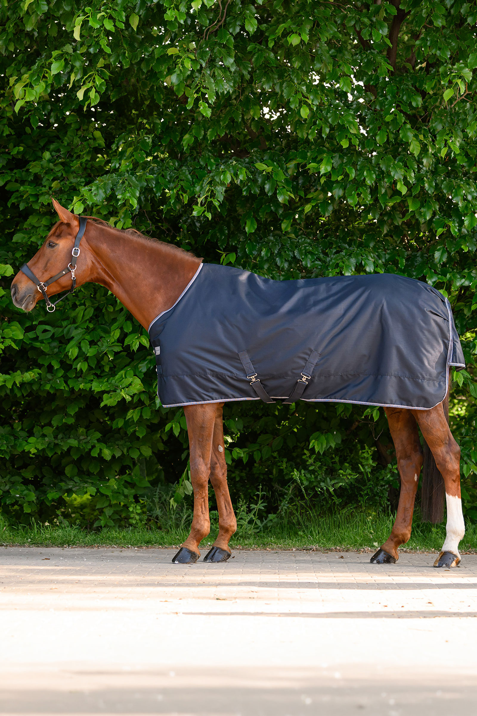 Waldhausen ECONOMIC Outdoordecke, 100g