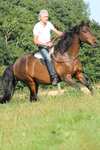 F.R.A. Freedom Riding Articles Free Reitpad, Full
