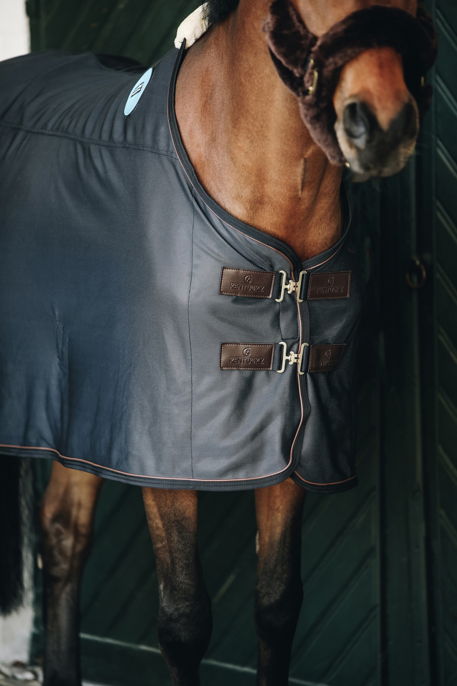 Kentucky Horsewear Tiny Recuptex Magnetdecke