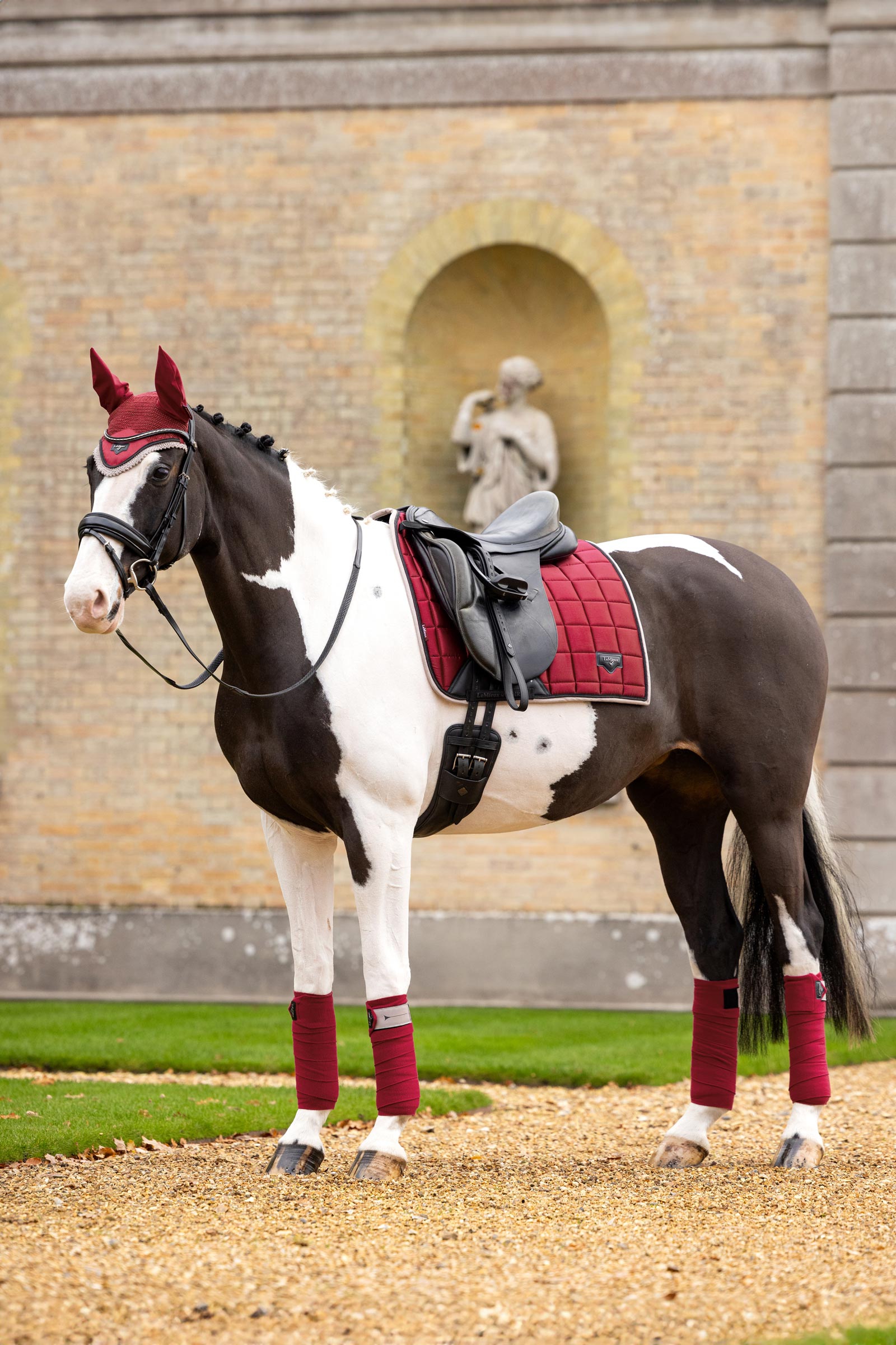 LeMieux Loire Classic Dressurschabracke