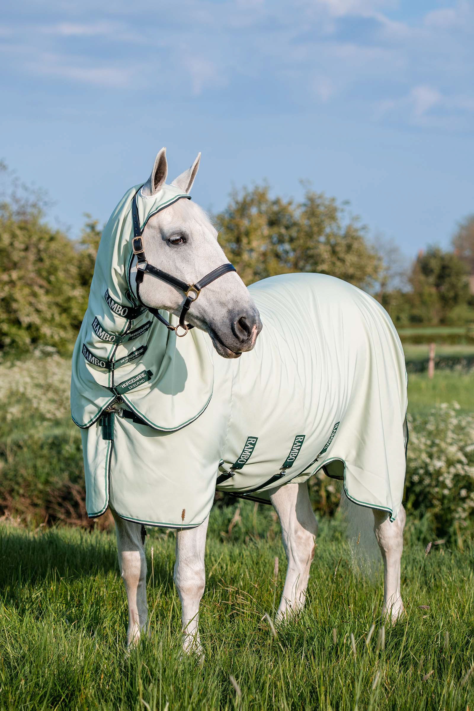 Horseware Rambo Hoody Fliegendecke