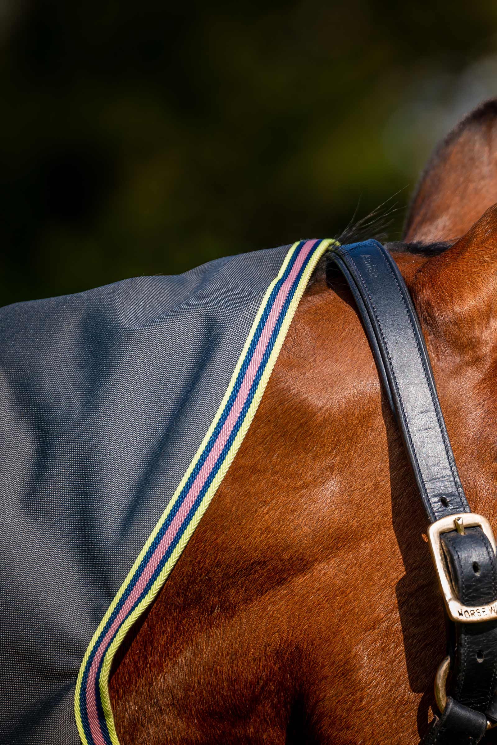 Horseware Amigo Bravo 12 Plus Weidedecke mit abnehmbarem Halsteil, 0g