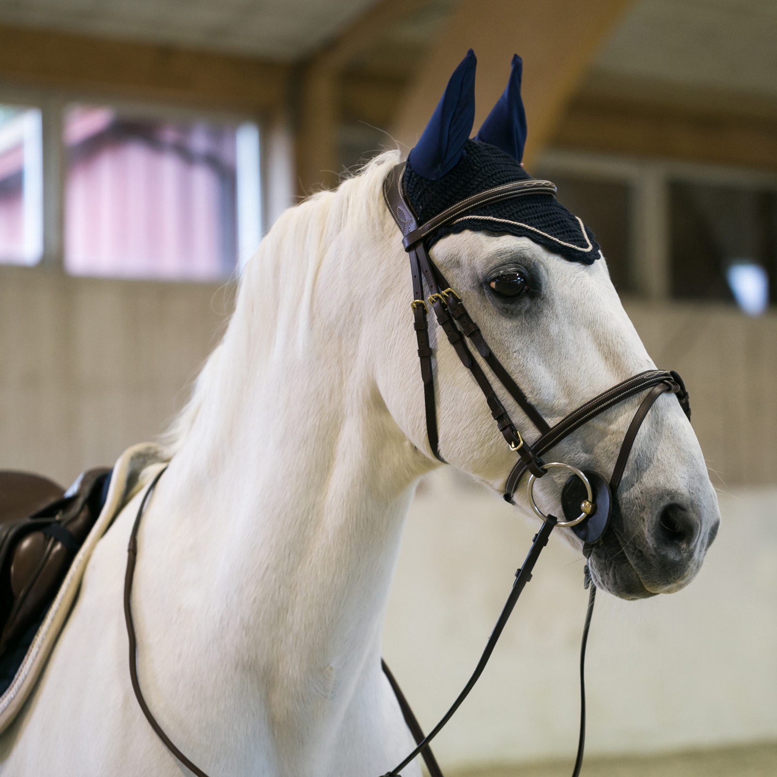 B Vertigo Sam Fliegenhaube mit Ohren (Ohrenhaube)