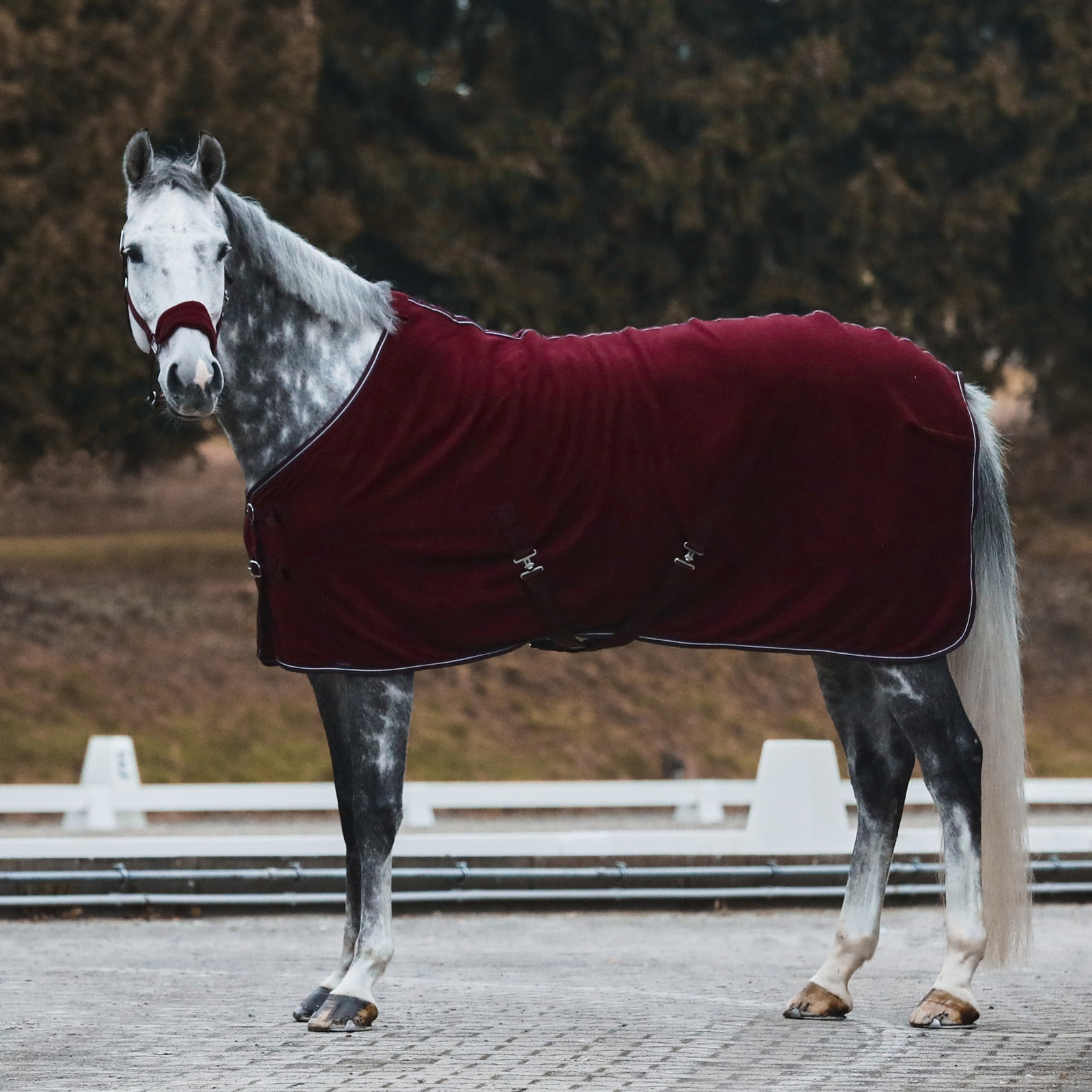 Horze Kiel Halfter mit Fleece