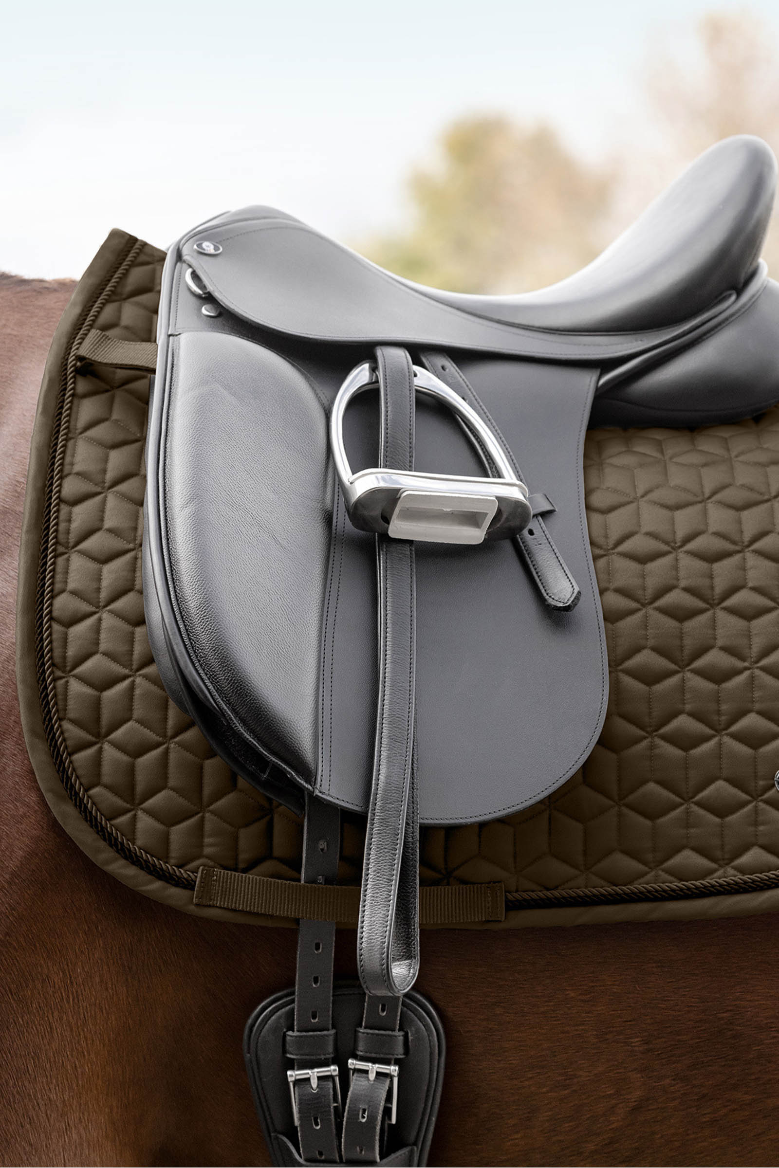 Waldhausen Philadelphia Dressage Saddle Pad