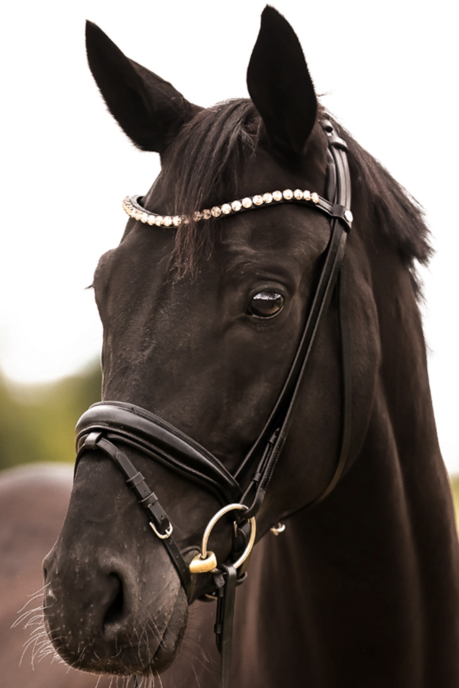 Kavalkade Fortuna KavalSH4 Trense