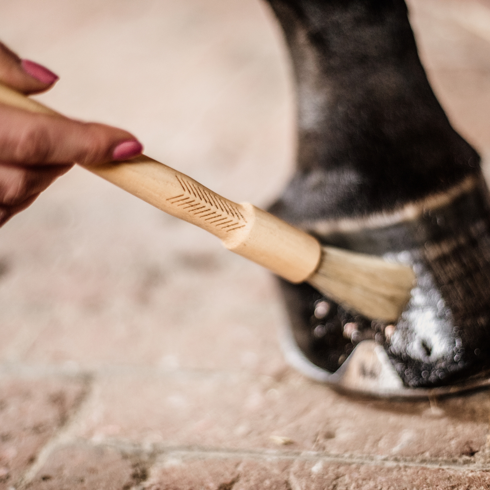 Grooming Deluxe Hufpinsel