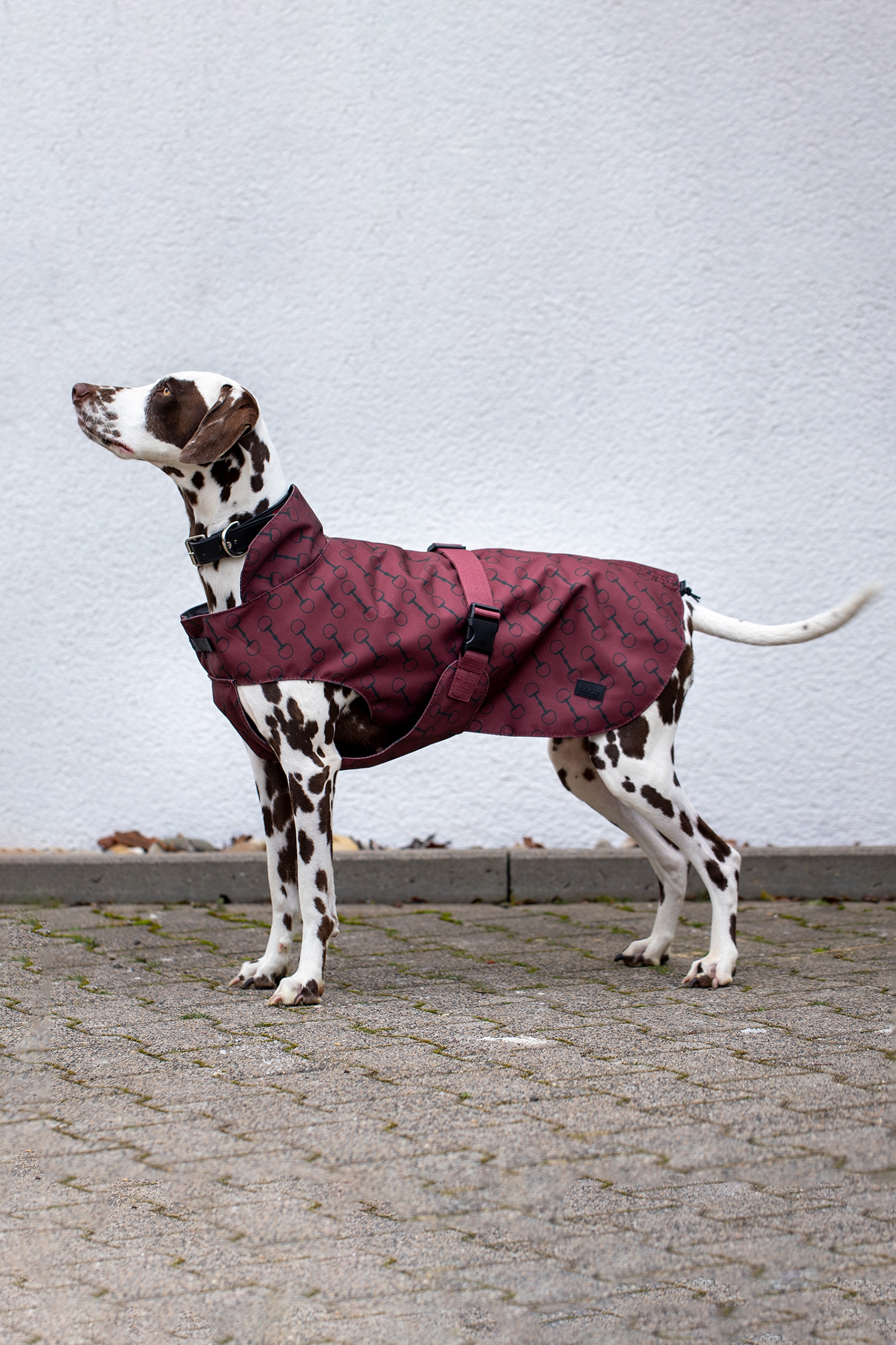 Horze Noir Hundemantel mit Print