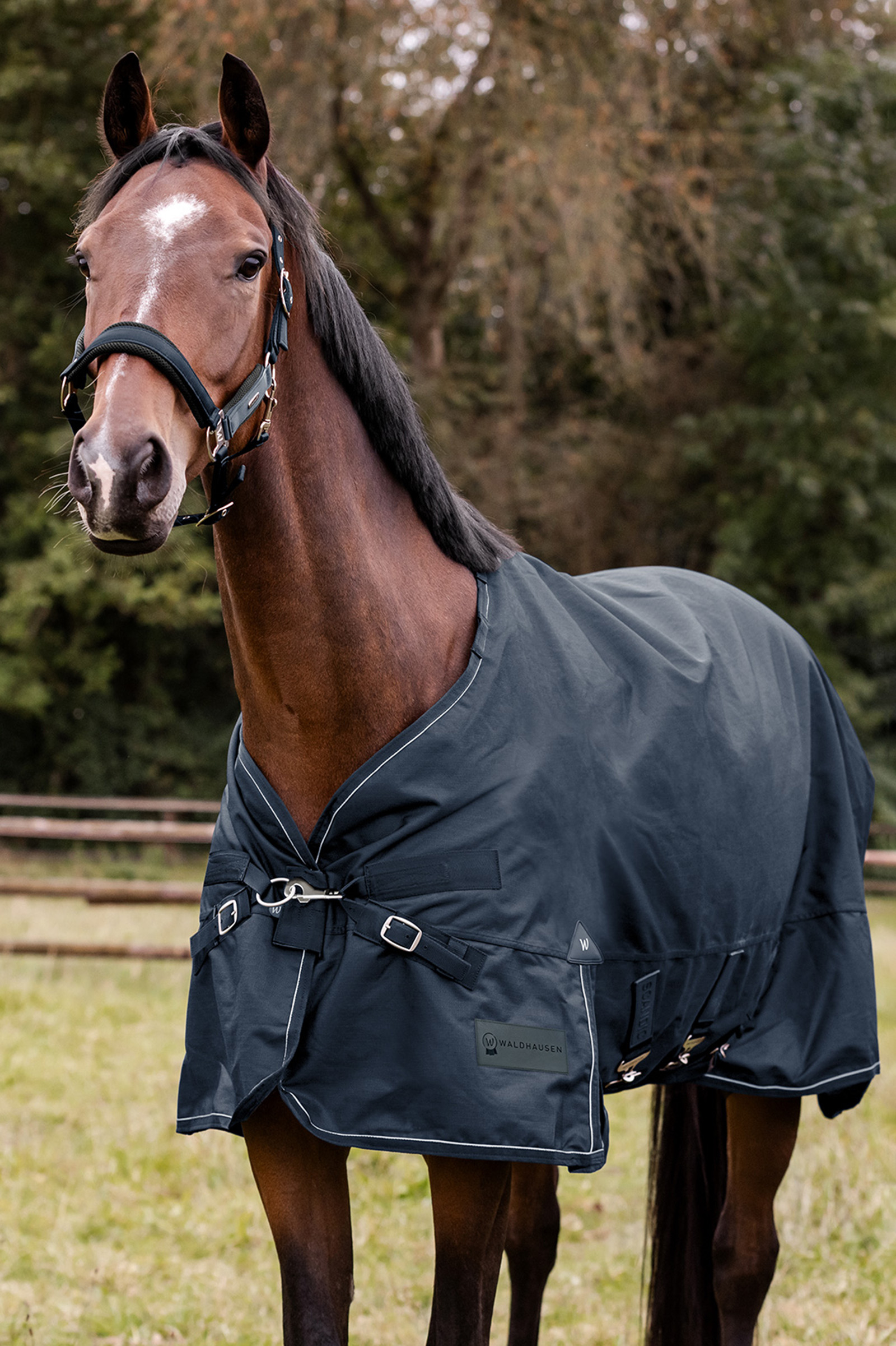 Waldhausen Outdoor Rug Scandic Multi-Layer 150g/50g