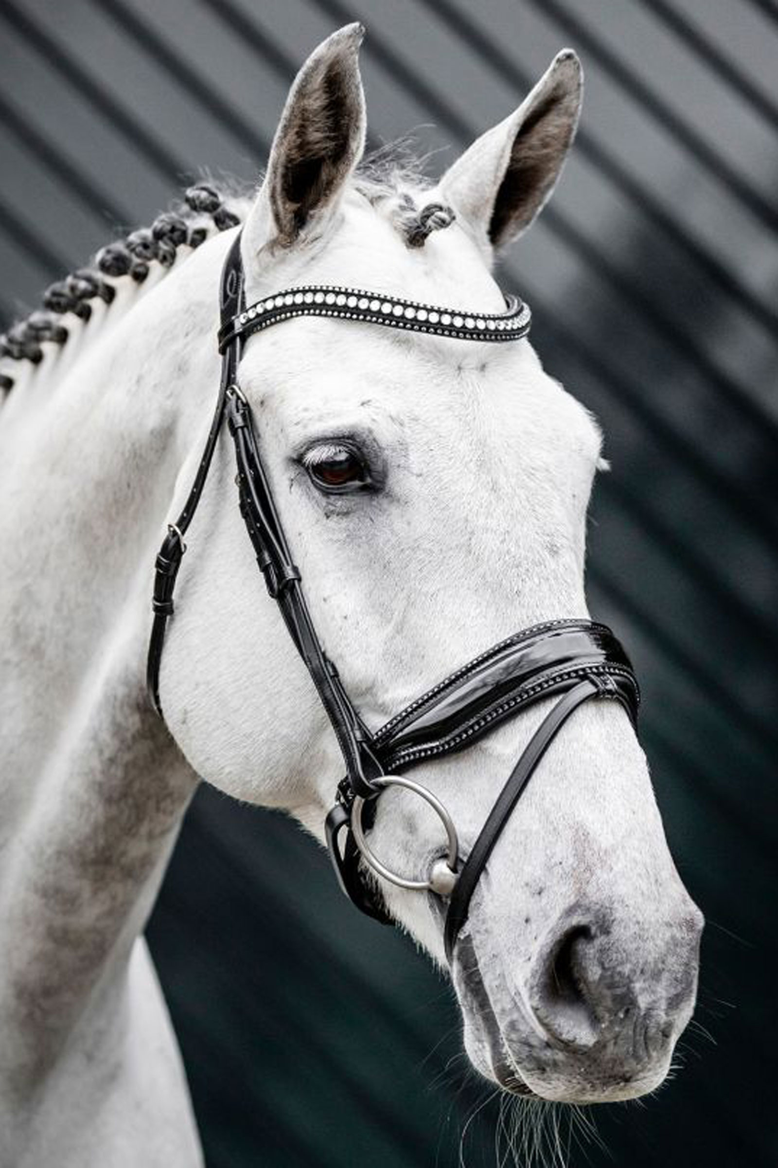 Horseware Diamante Trense mit kombiniertem Reithalfter
