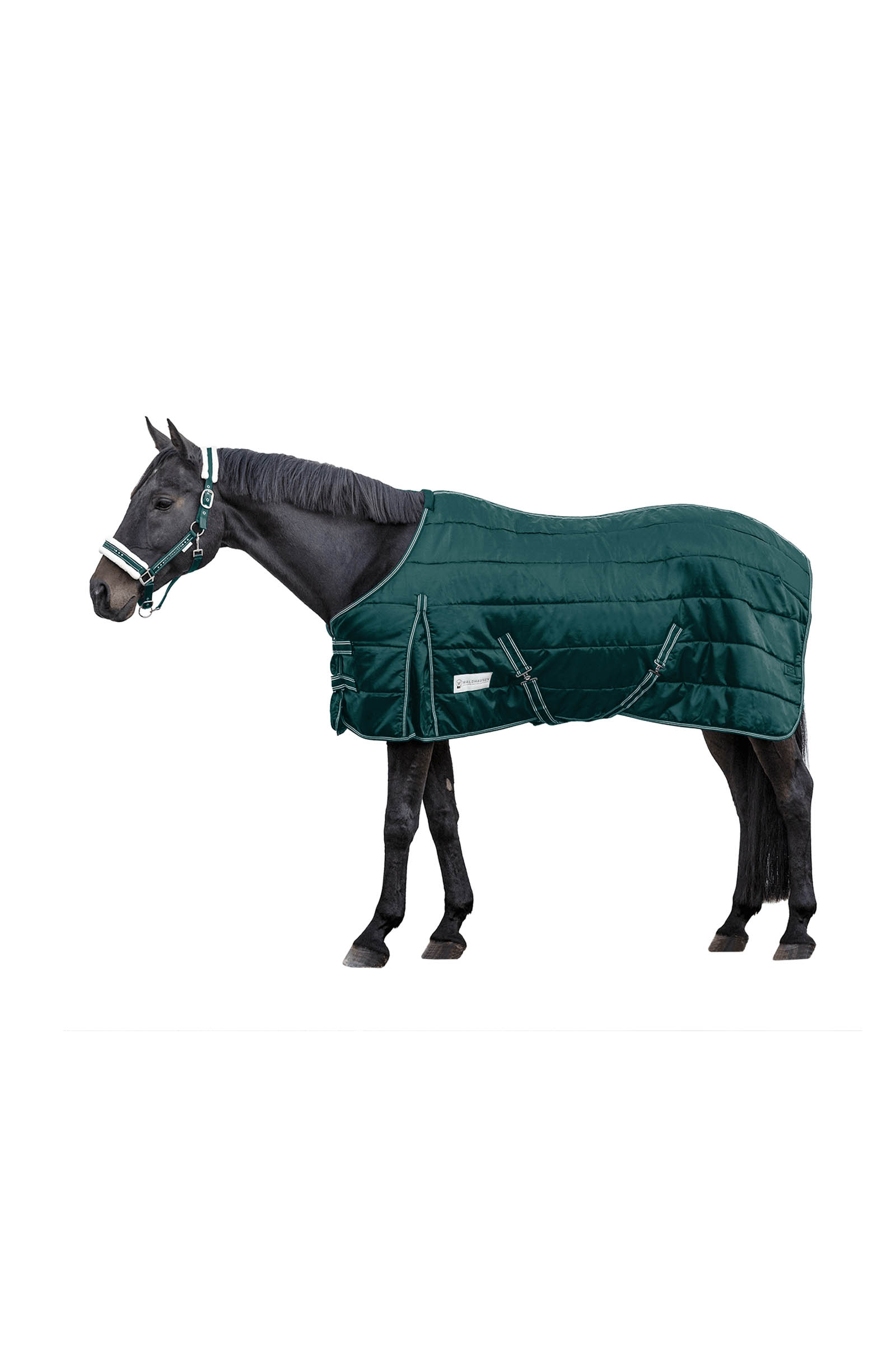 Fir Green Waldhausen Stable rug Economic 200 g