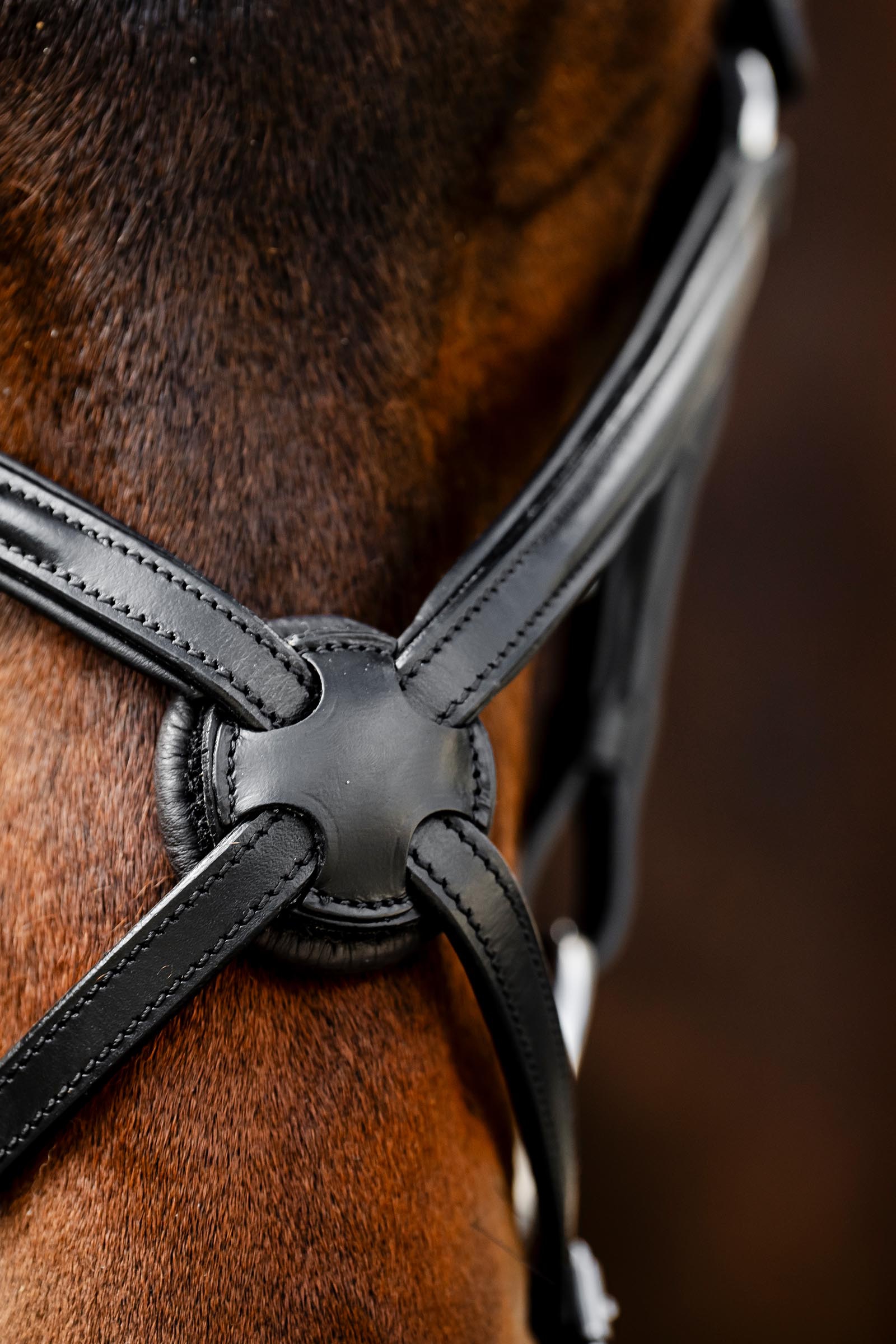 Horseware Trense mit Mexikanischem Reithalfter