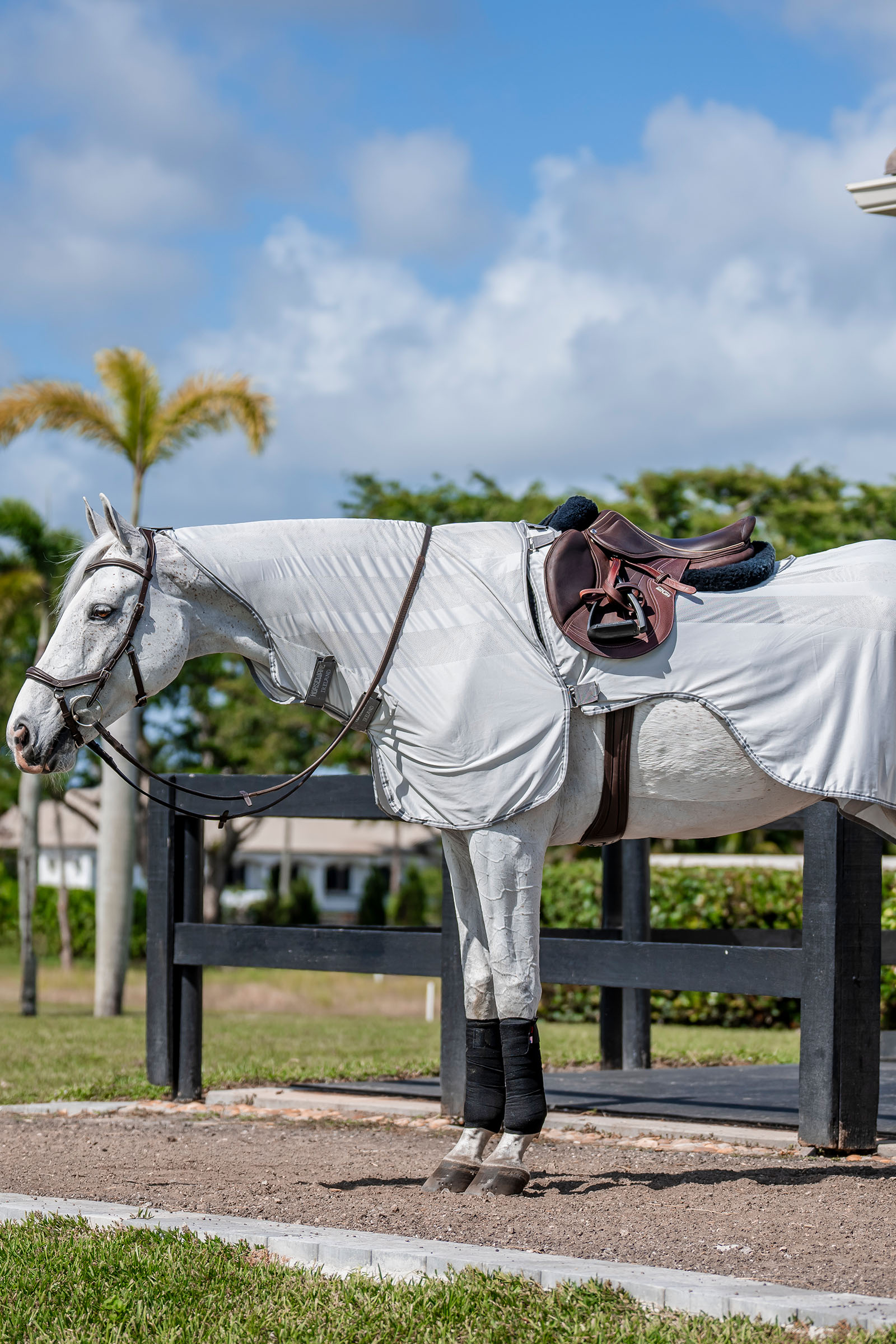 Silver/Titanium Grey & Silver Horseware Amigo Flyrider Ausreitdecke, 0 g