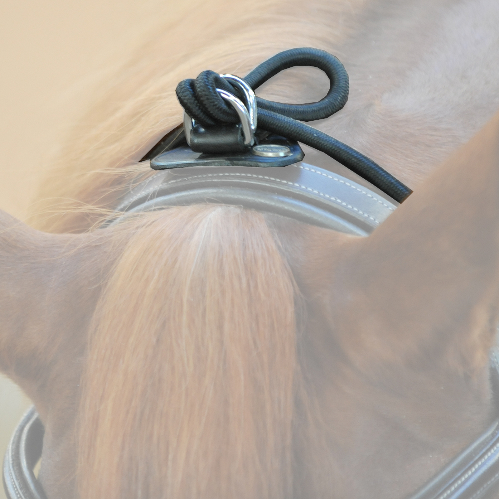 Kavalkade Halsverl&auml;ngerer