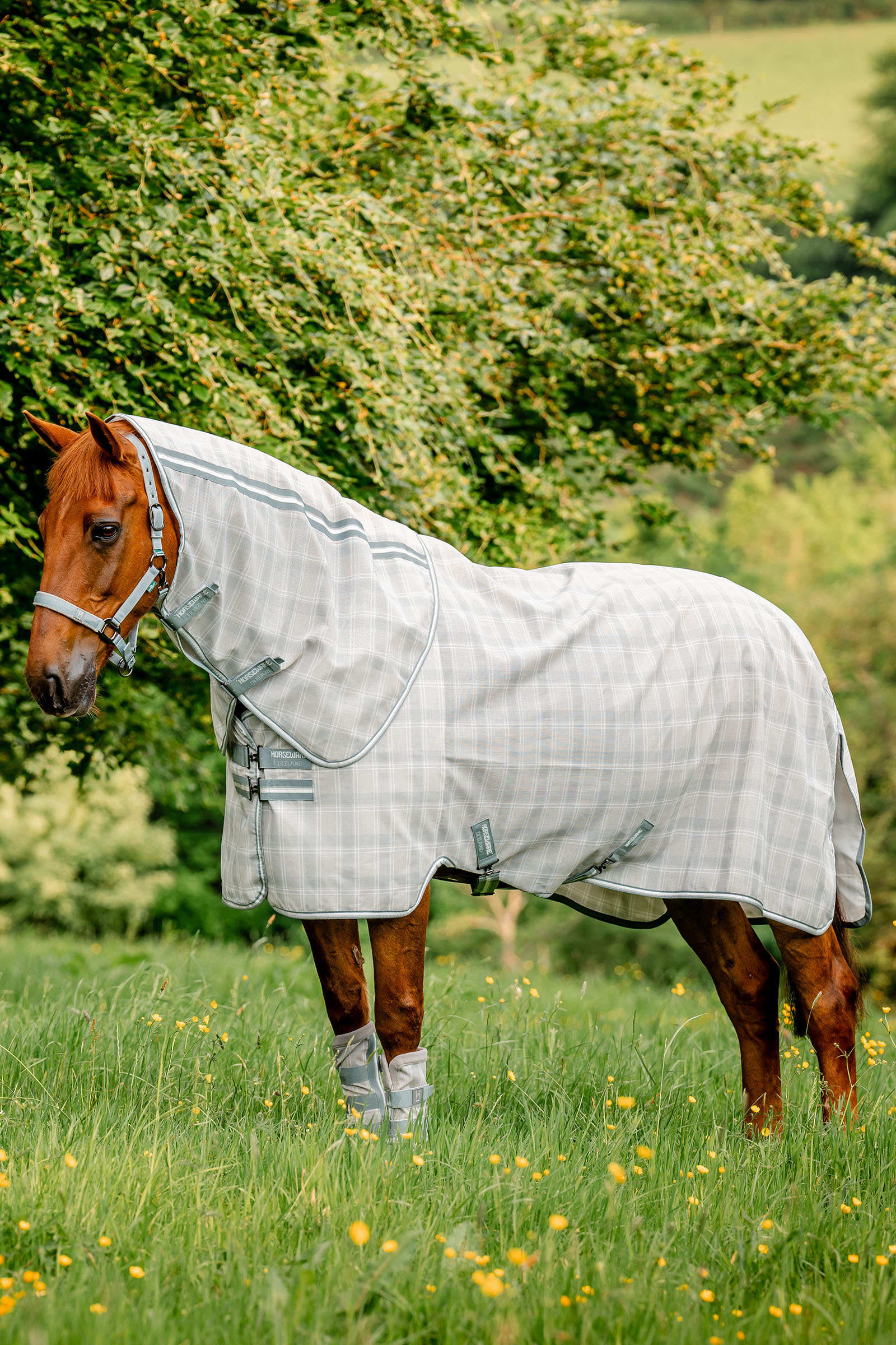 Witney Charcoal Horseware Newmarket Plus Fliegendecke