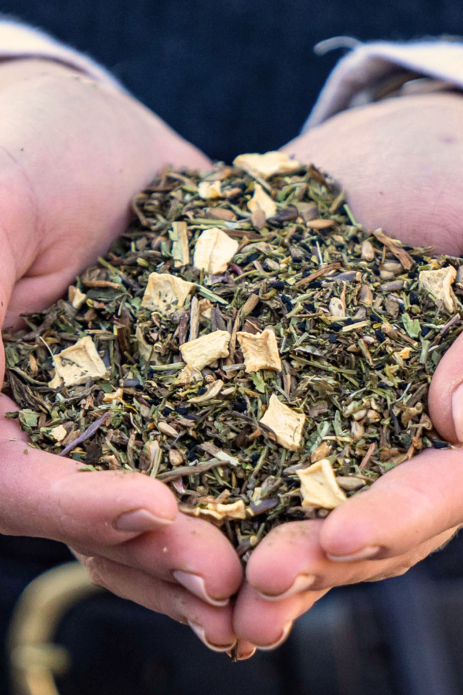 Stiefel Leberkräuter, 1kg