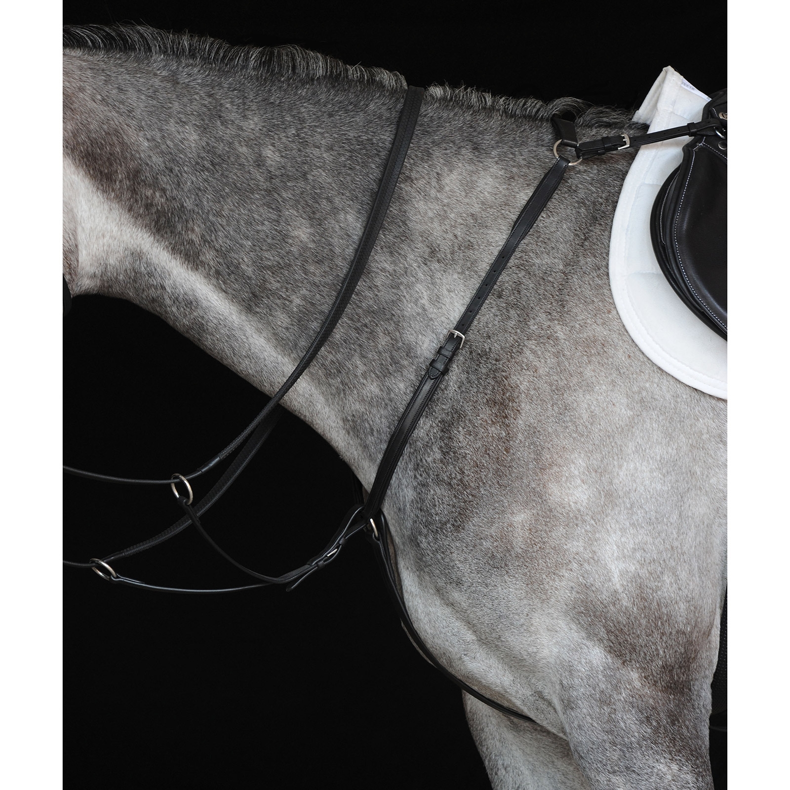 Collegiate Hunter Vorderzeug IV