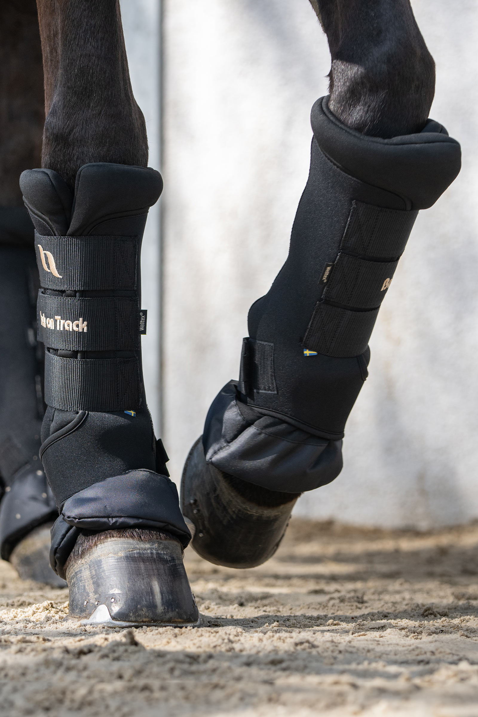 Back On Track Quick Royal Stallgamaschen