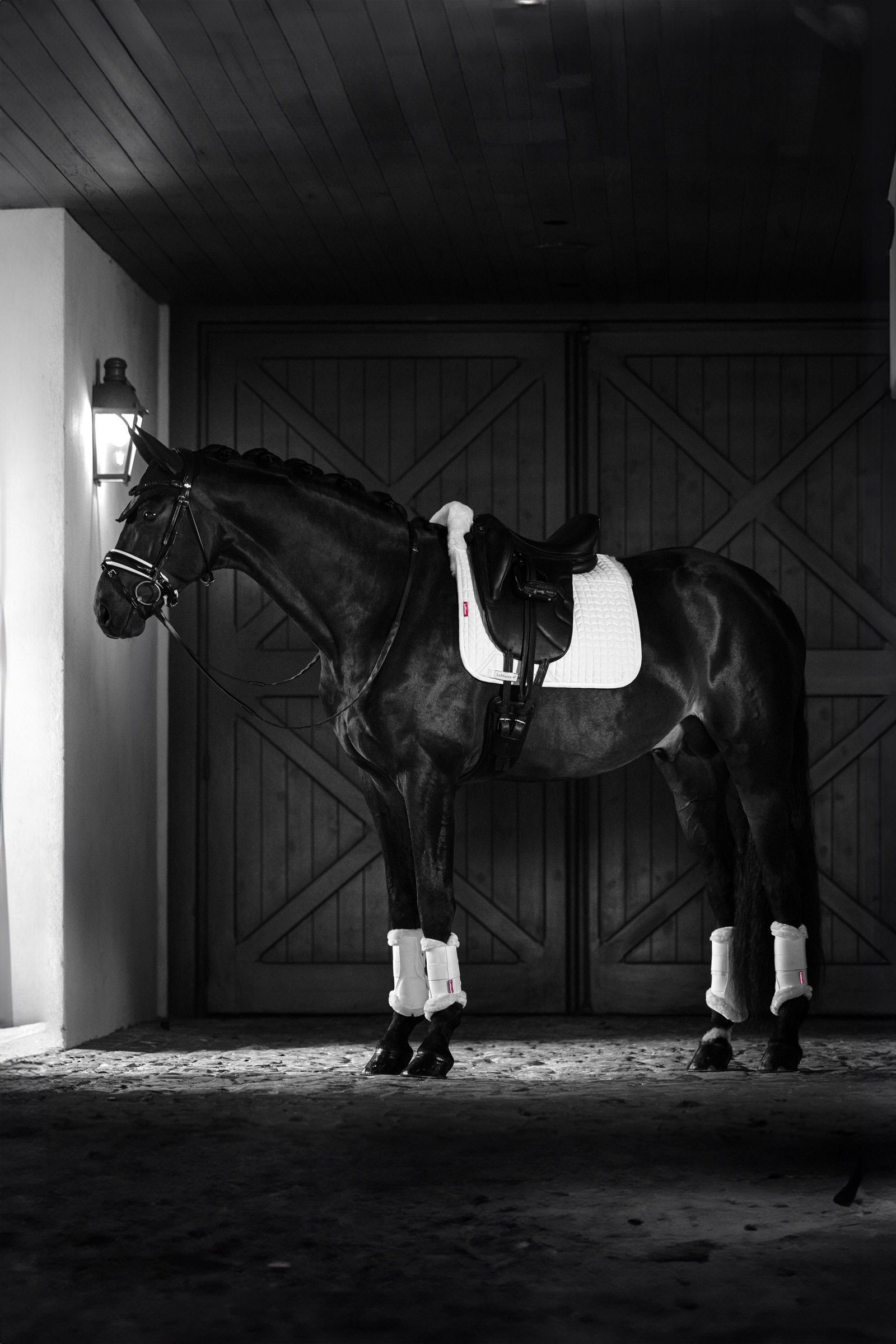 LeMieux Merino+ Dressurschabracke, halb gef&uuml;ttert