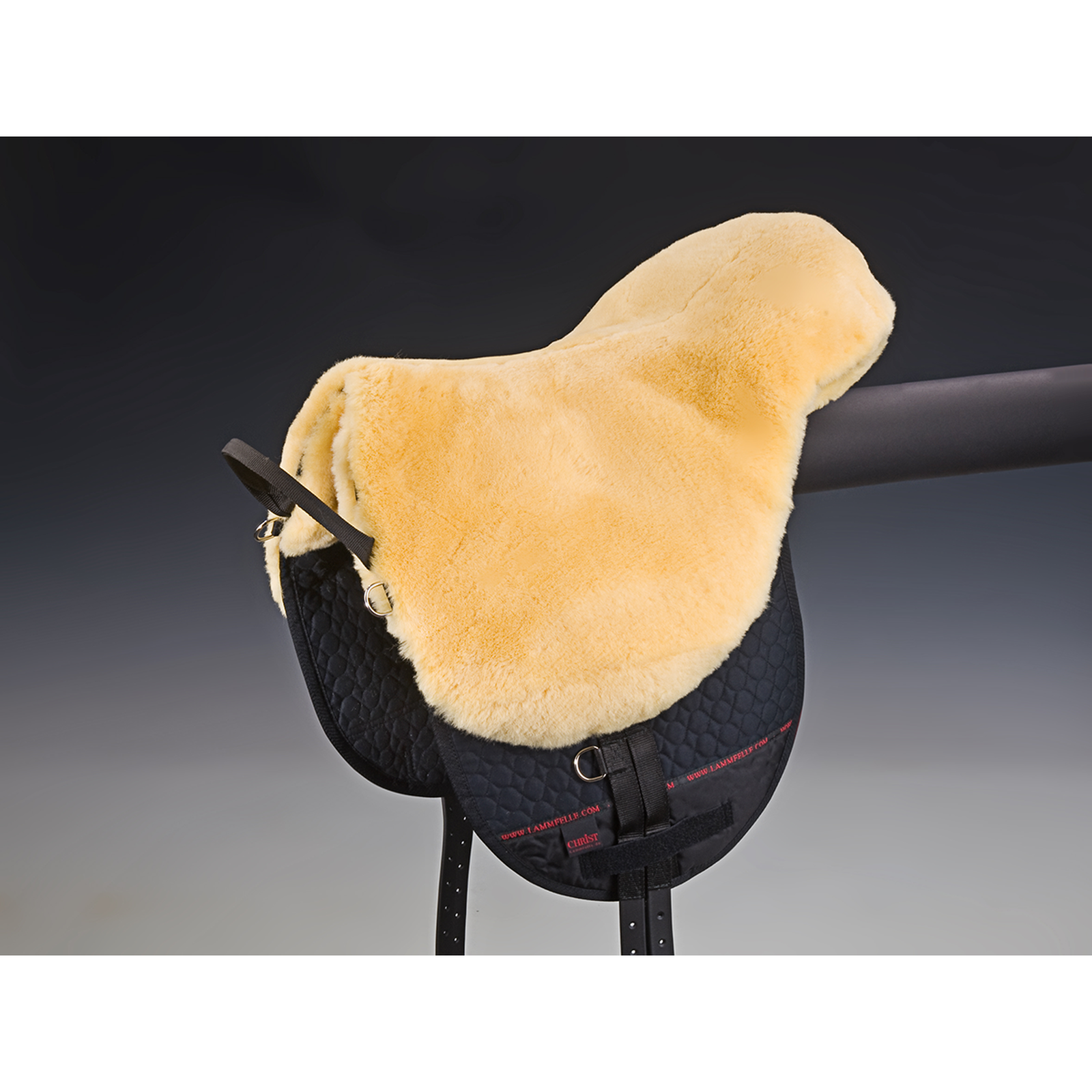 Christ Bareback riding Basic Plus, SH