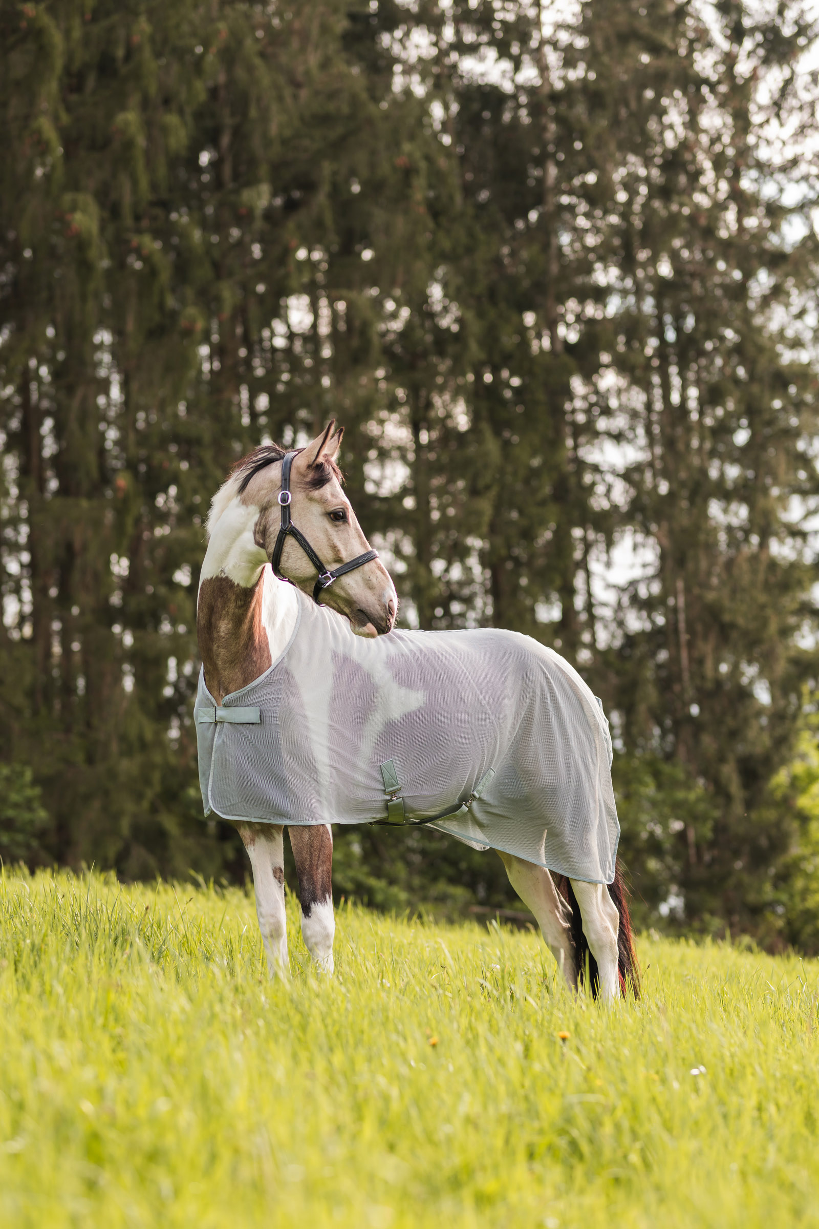 Horze Orleans Fliegendecke