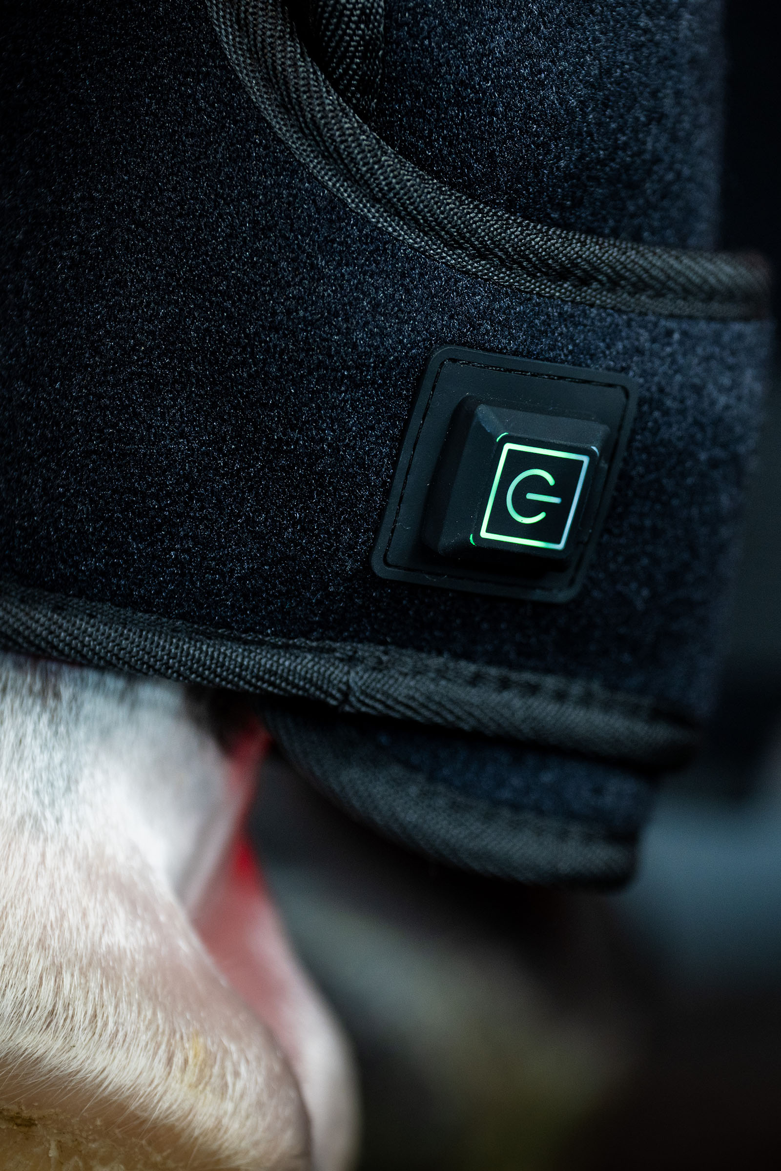 Horseware LED Rotlicht Therapie Gamasche (1 Stk.)