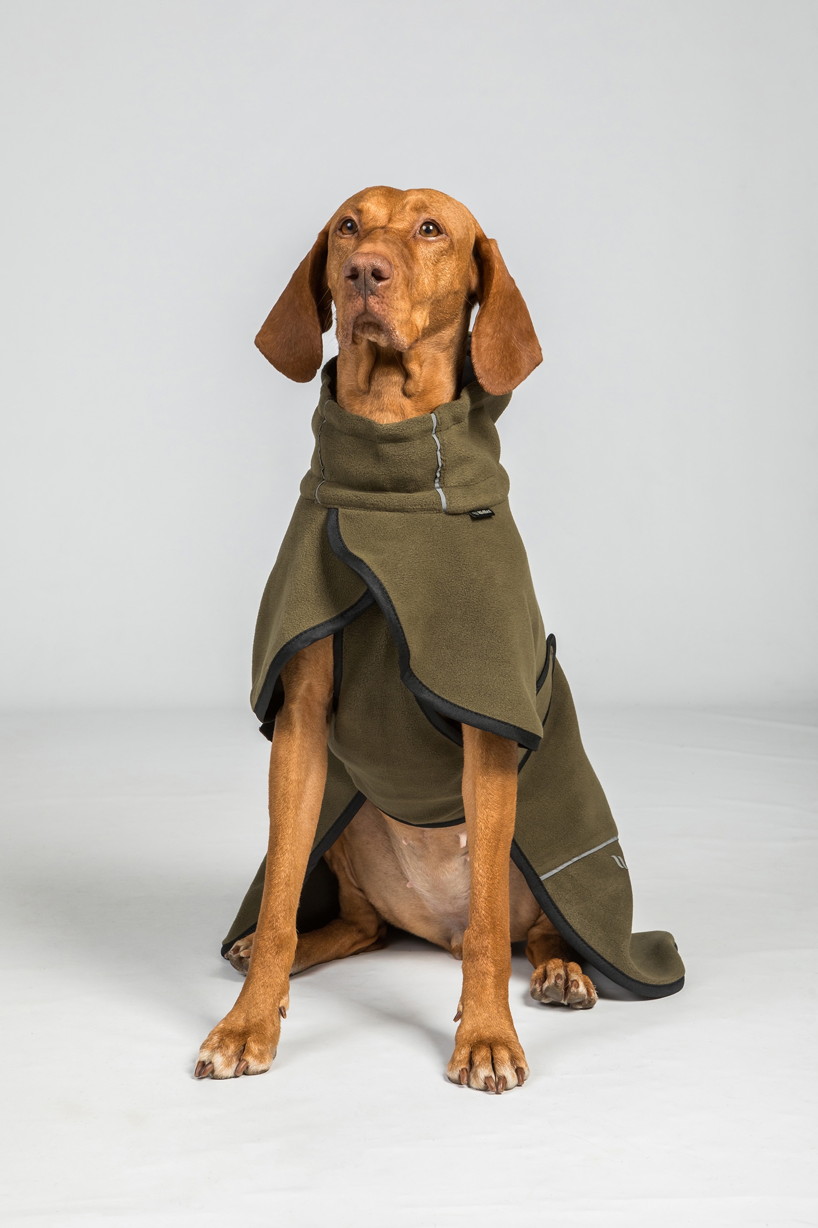 Back on Track Bay Fleece Dog Coat, High Set Tail