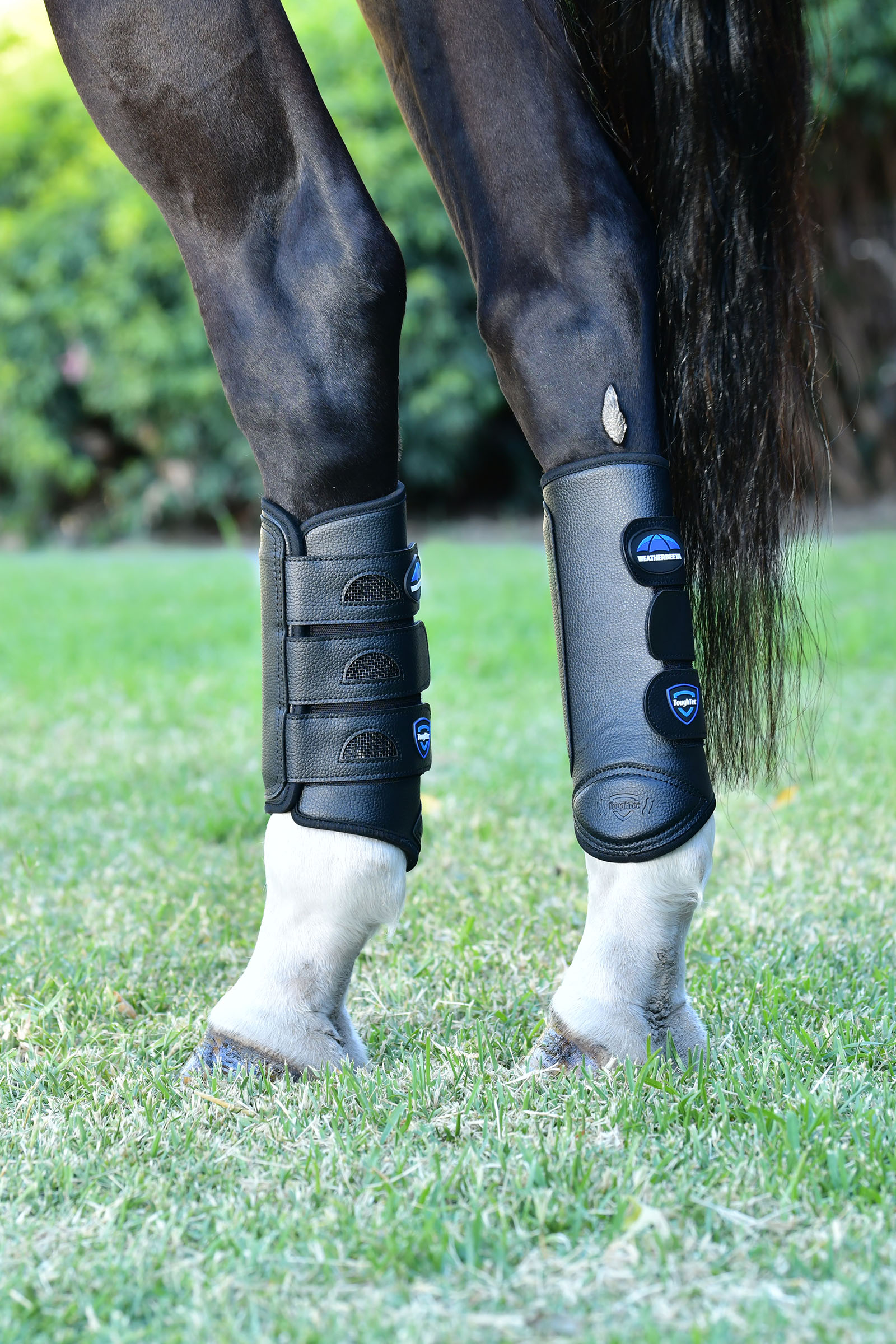 Weatherbeeta Tough-Tec Eventing Gamaschen, hinten