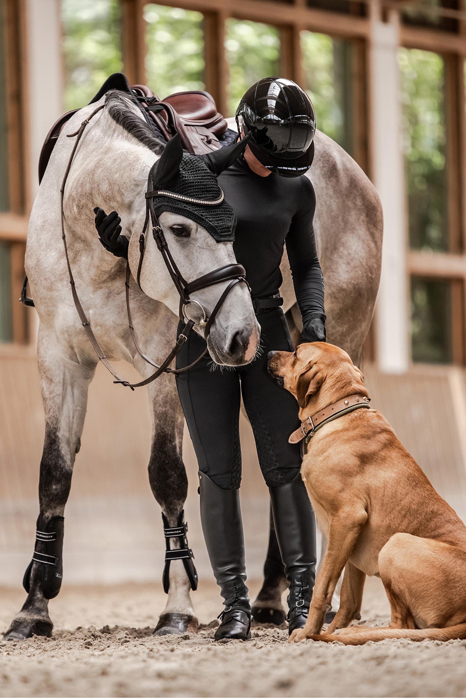 SWING H24 Lady Glossy Reithelm