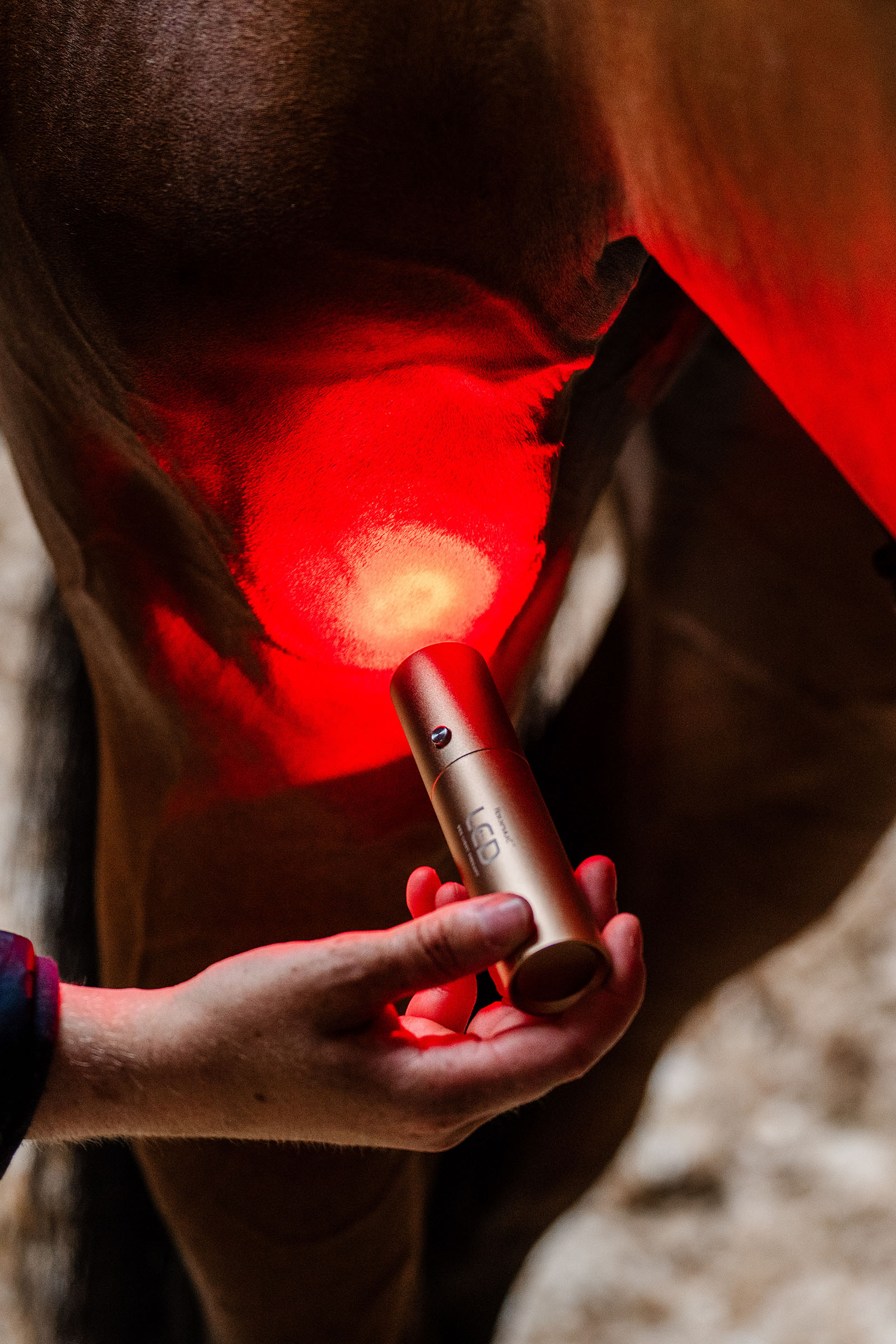 Horseware LED-Rotlicht-Therapie Stab