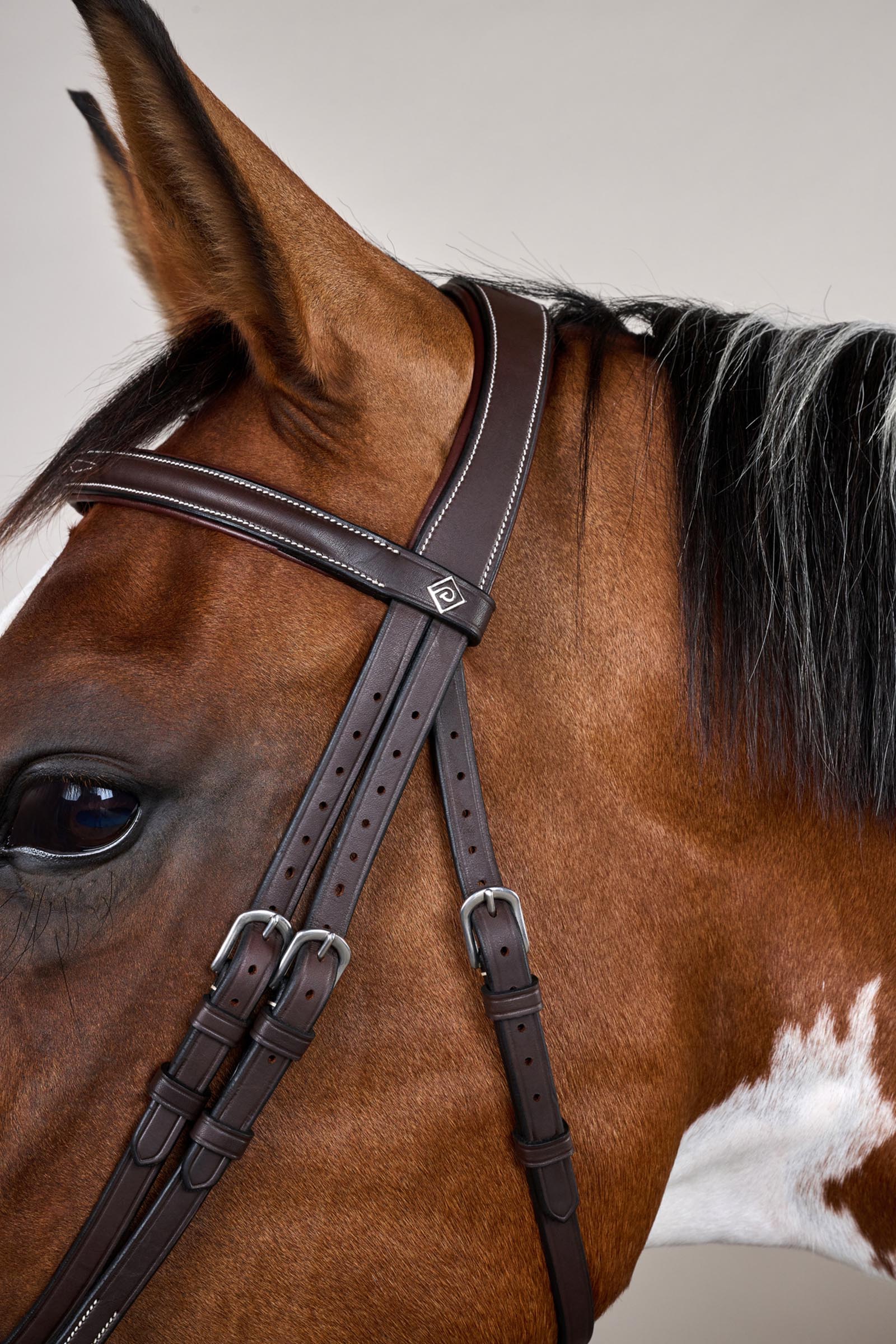 Dy'on Working Trense mit kombiniertem Reithalfter und Karabinerhaken  