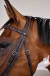 Dy'on Working Trense mit kombiniertem Reithalfter und Karabinerhaken  