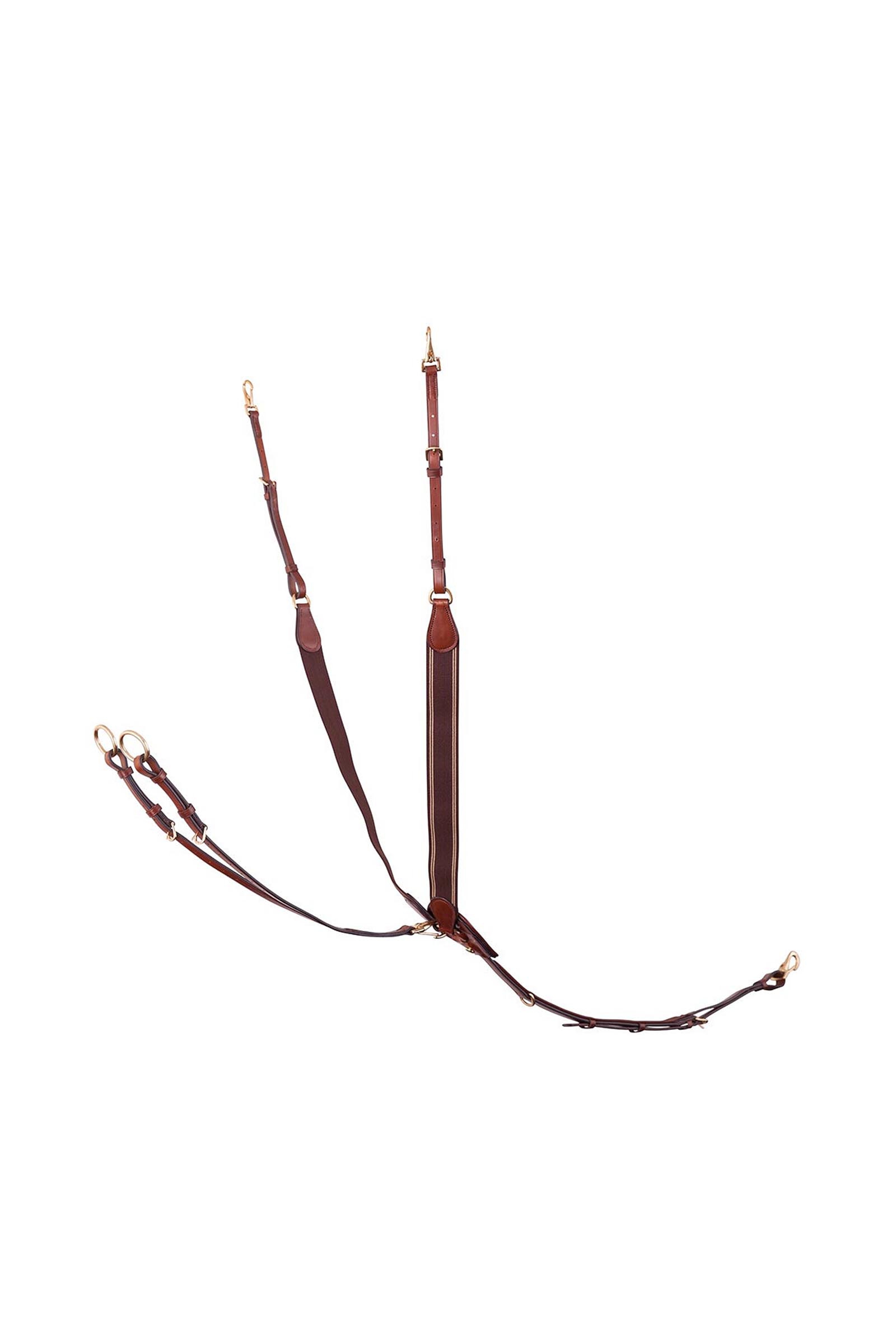 BR Taunton elastisches Vorderzeug mit abnehmbarem Martingal