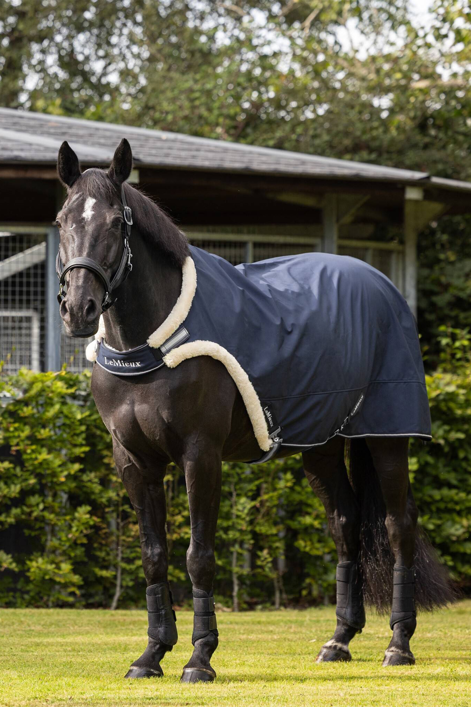 LeMieux F&uuml;hranlagendecke