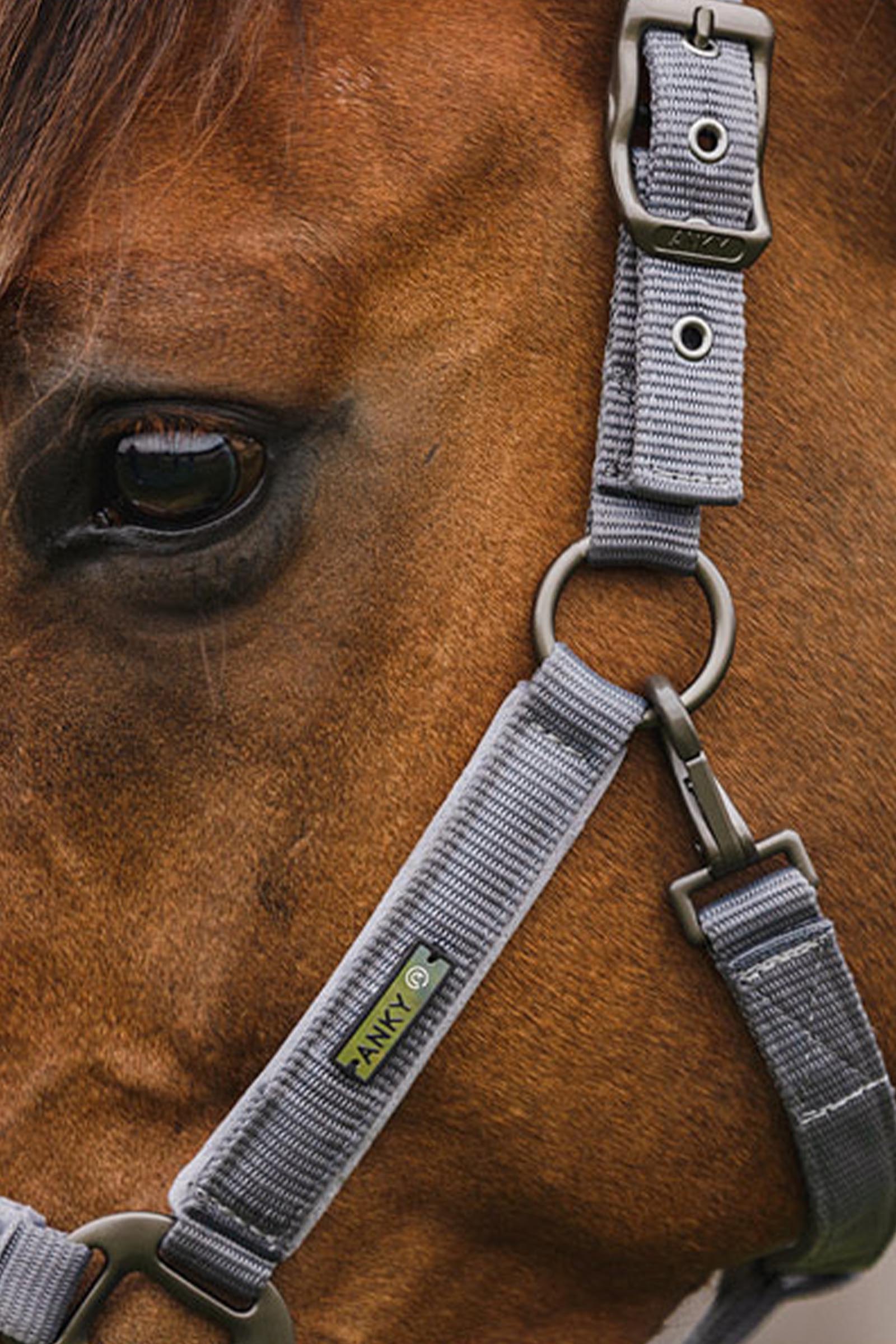 ANKY Stones Halfter- und F&uuml;hrstrick-Set