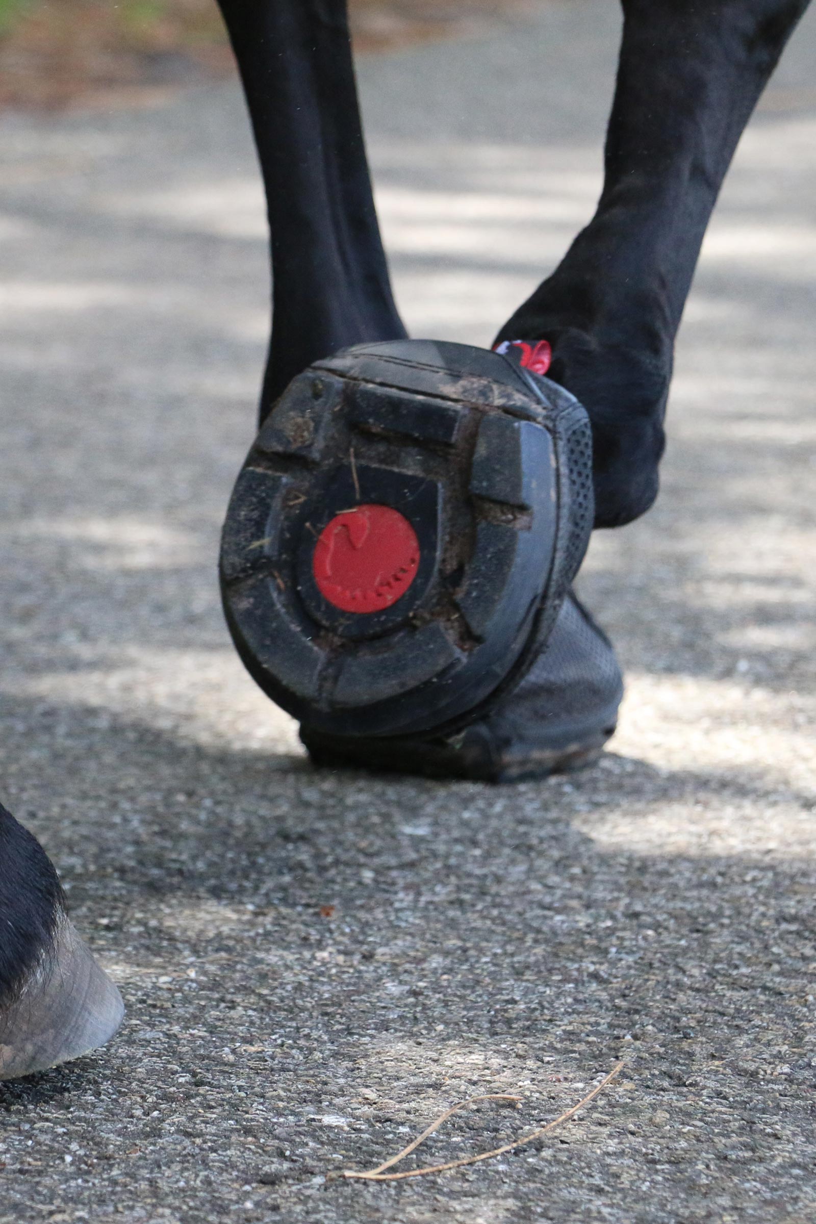 Cavallo Hoof Boots F.R.A. Trek SRS Hufschuhe (regul&auml;r/Paar)