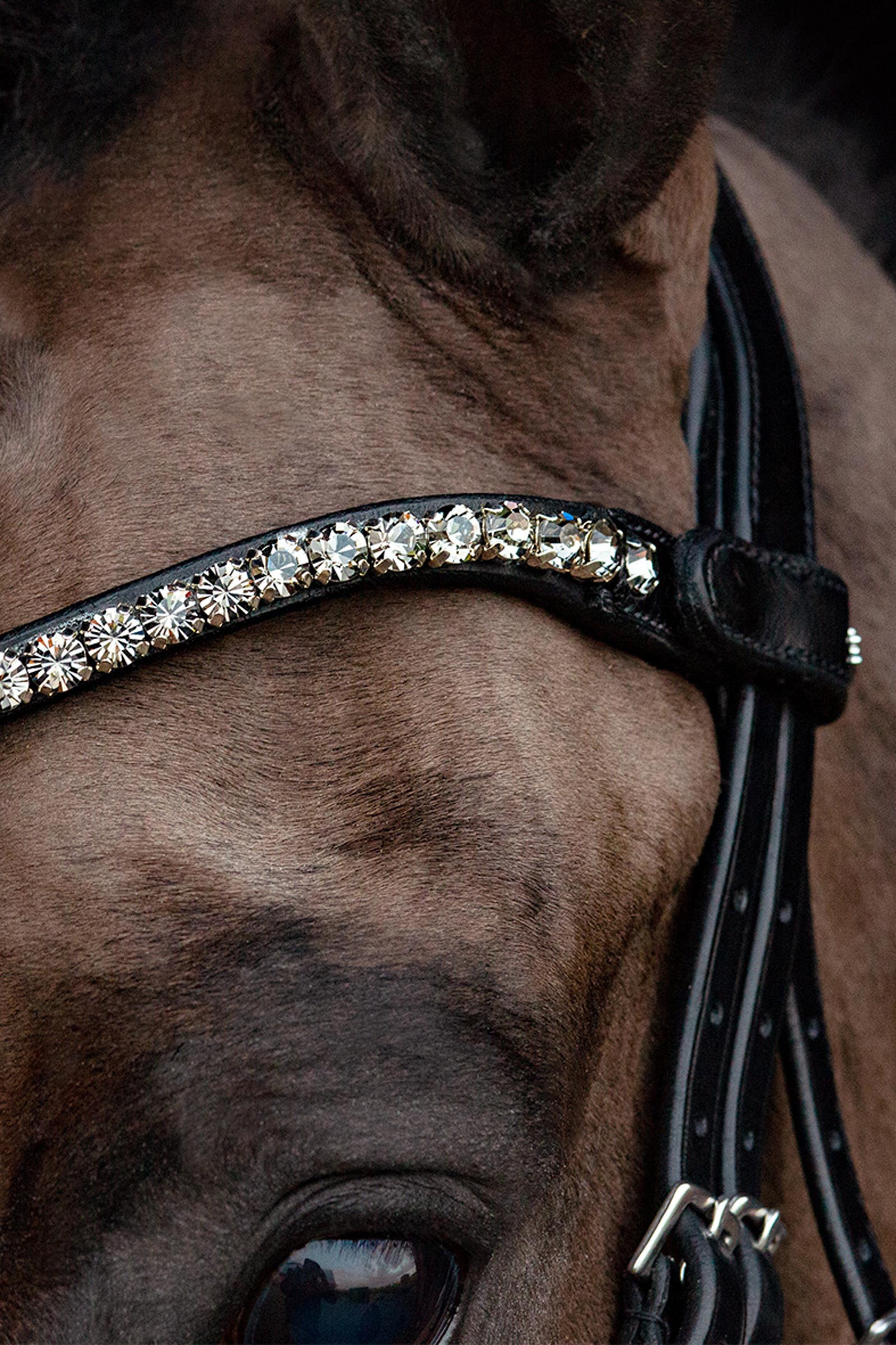 Schockemöhle Siena Trense