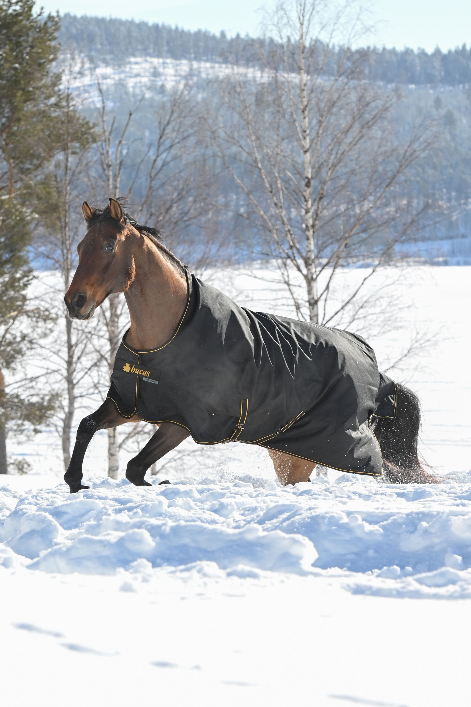 Bucas Irish Weidedecke, 300g