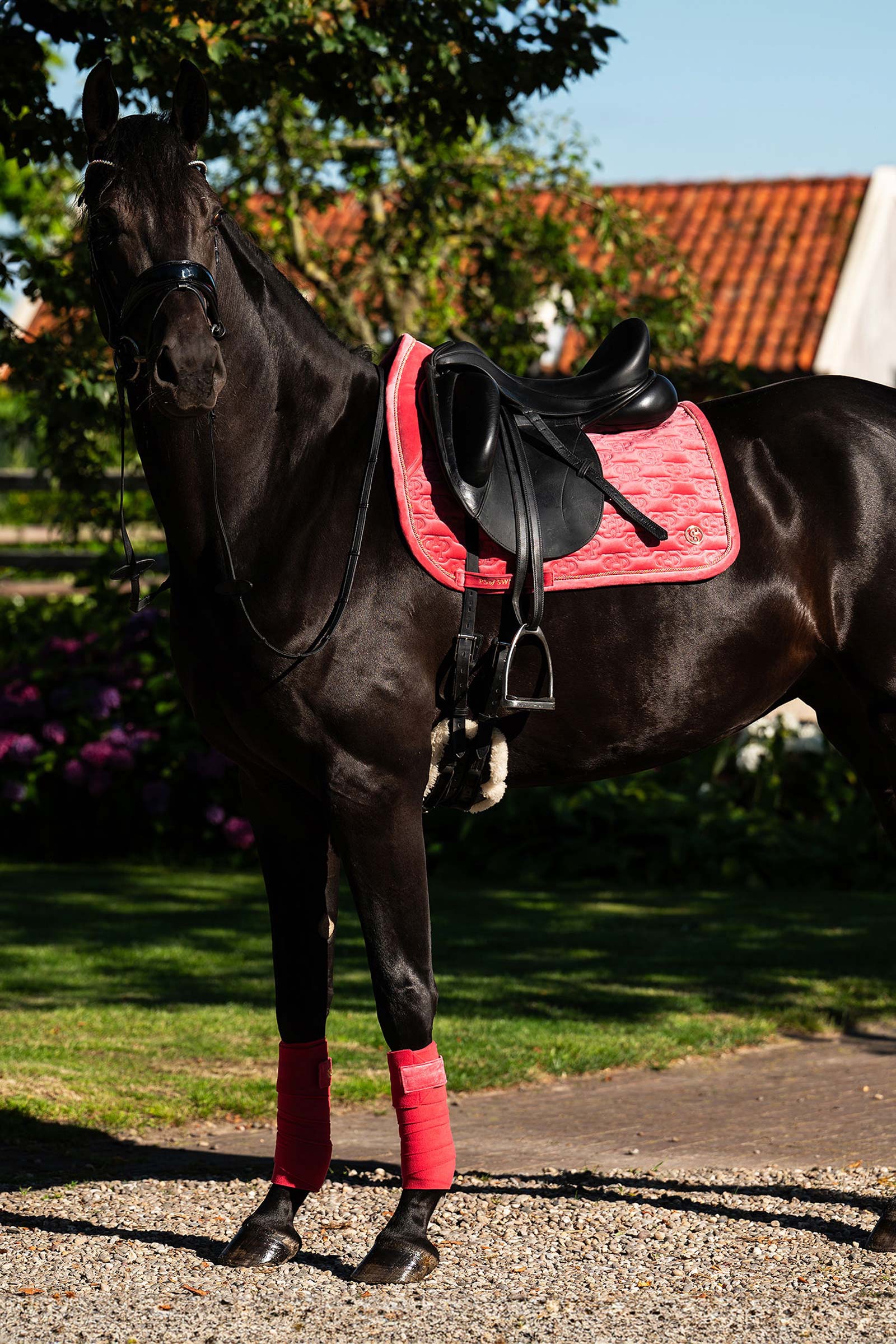 PS of Sweden Velvet Monogram Dressur Schabracke 