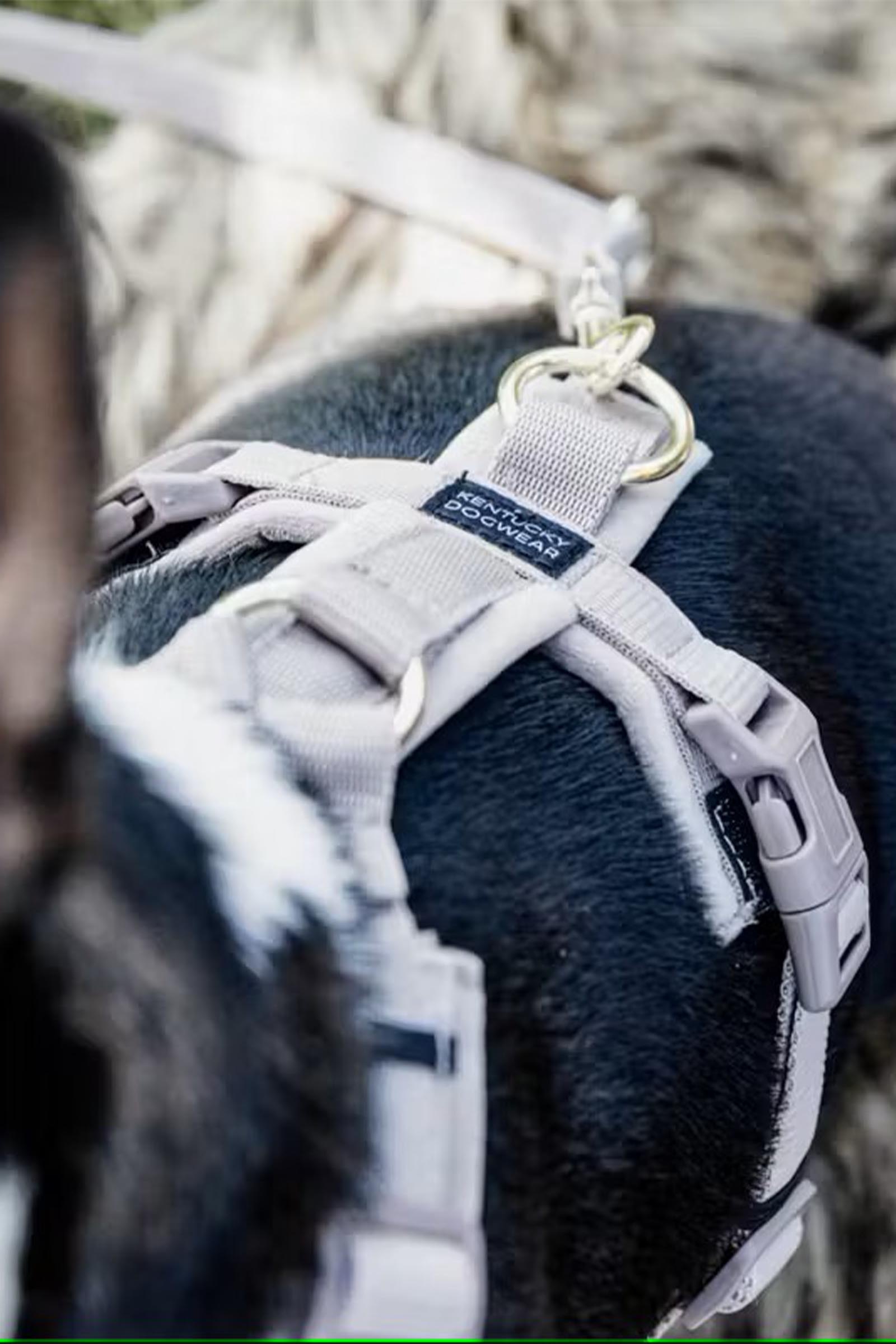 Kentucky Dogwear Active Velvet Hundegeschirr