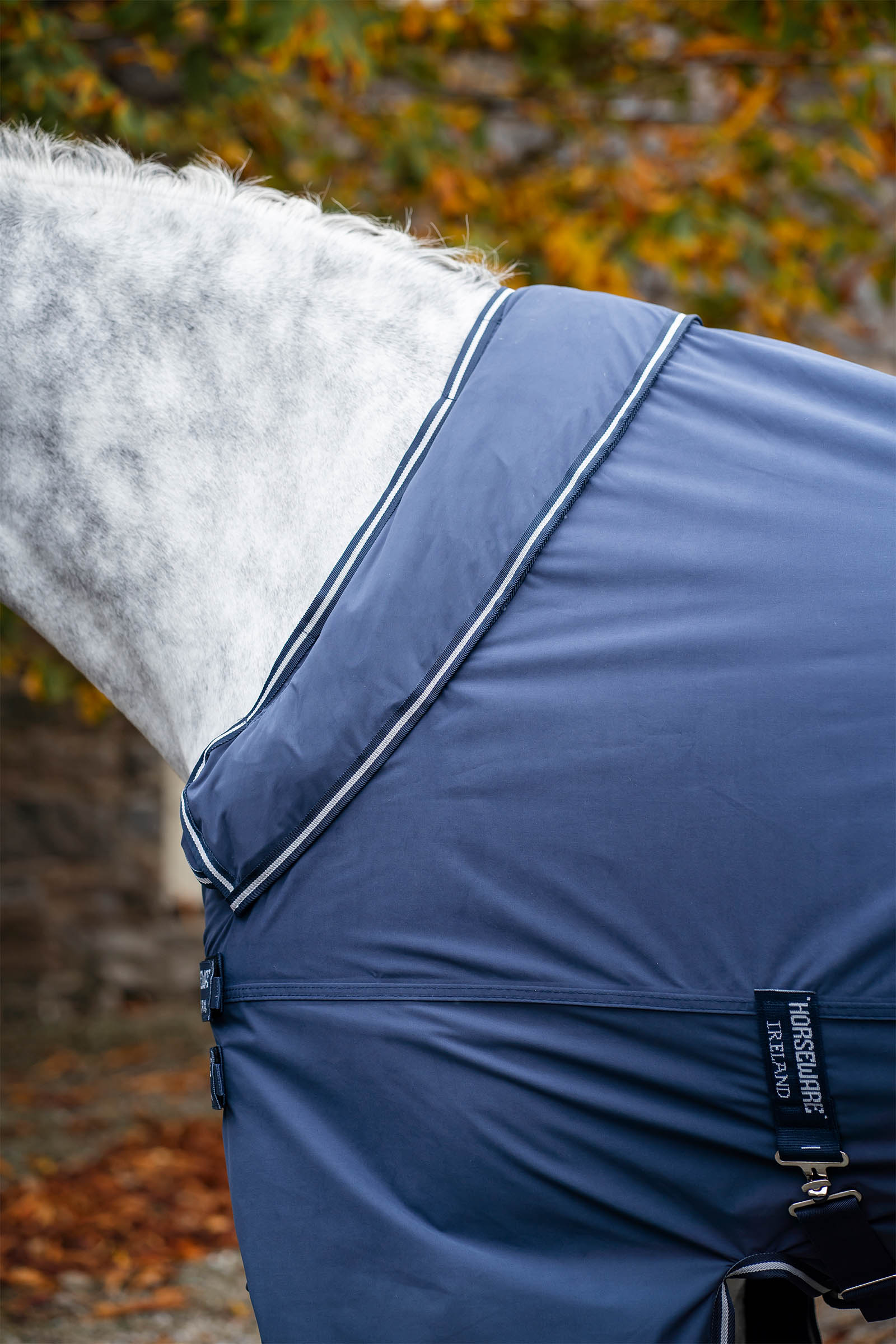 Horseware Show Ready Decke