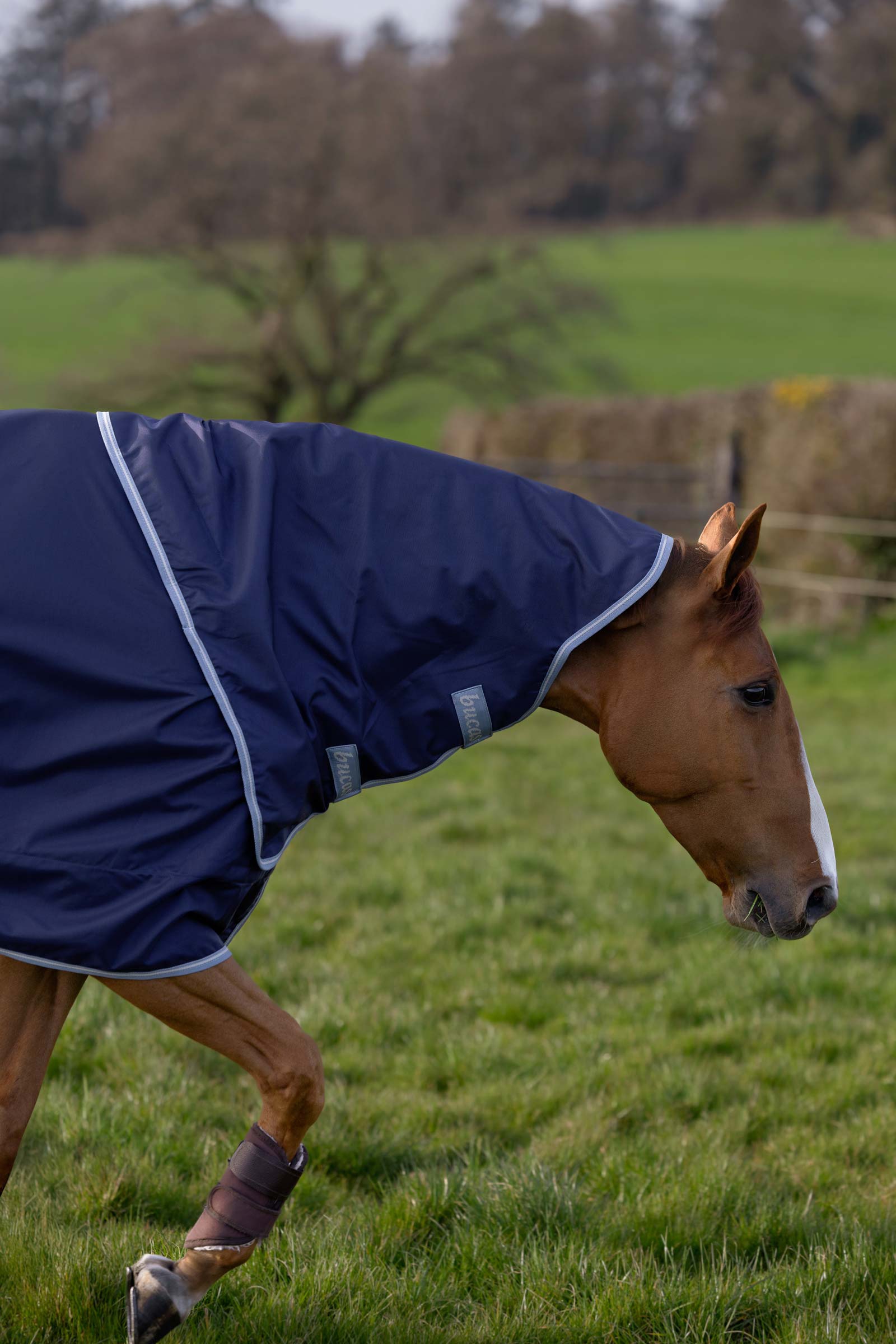 Bucas Atlantic Exclusive Decke & Halsteil Set, 150 g