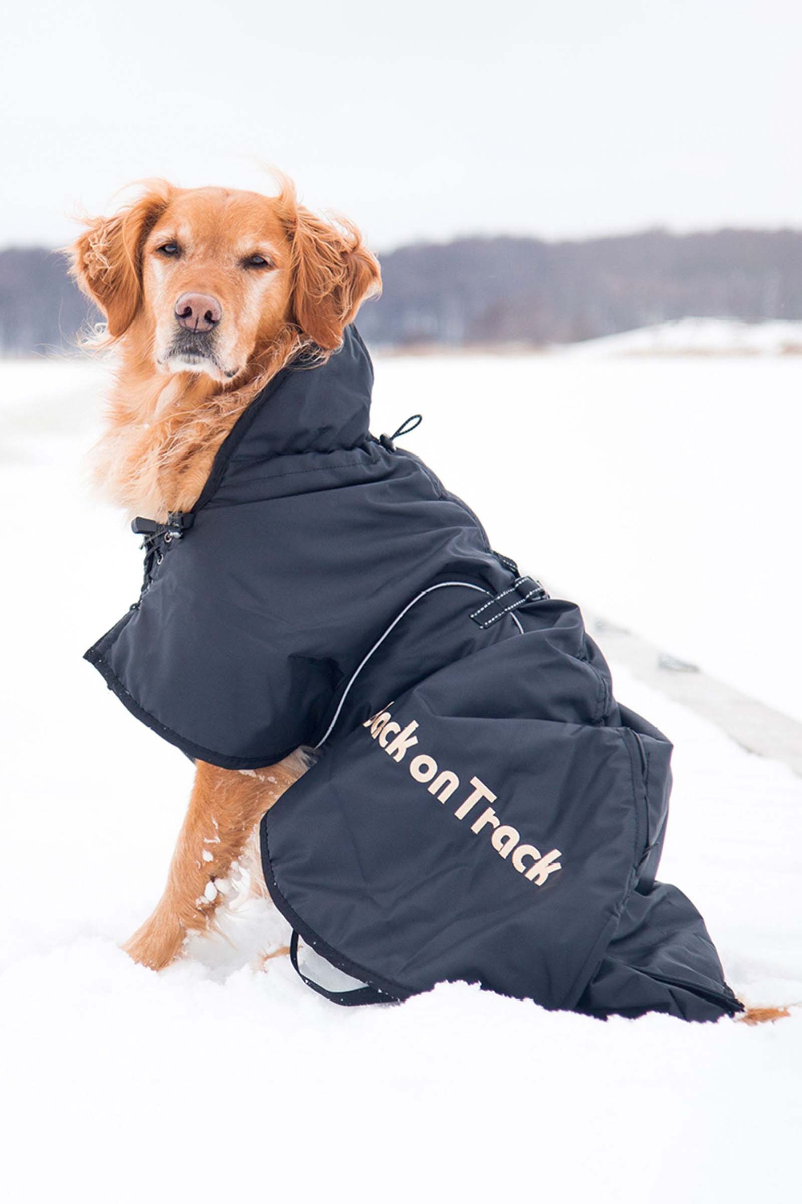 Back on Track Hundemantel (size 21-40)