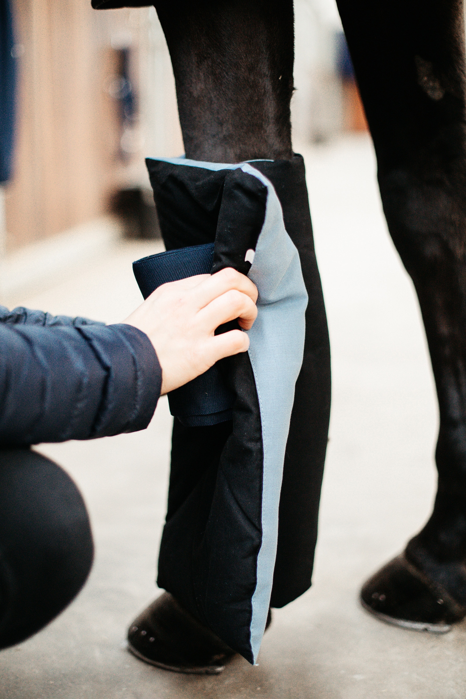 Kentucky Horsewear Magnetic Bandagierunterlagen Recuptex