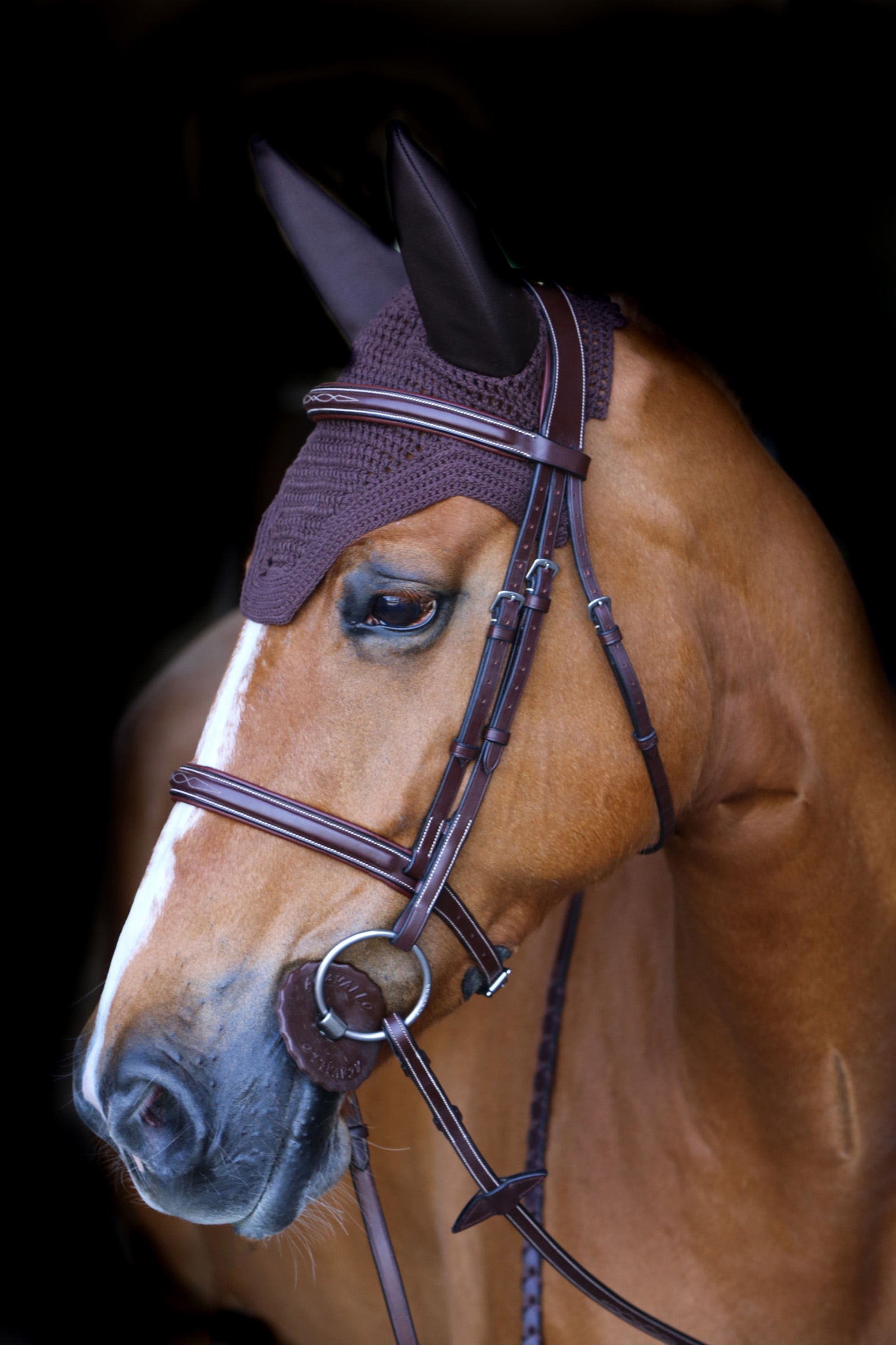 Brown Kentucky Horsewear Wellington Fliegenhaube Schalldicht