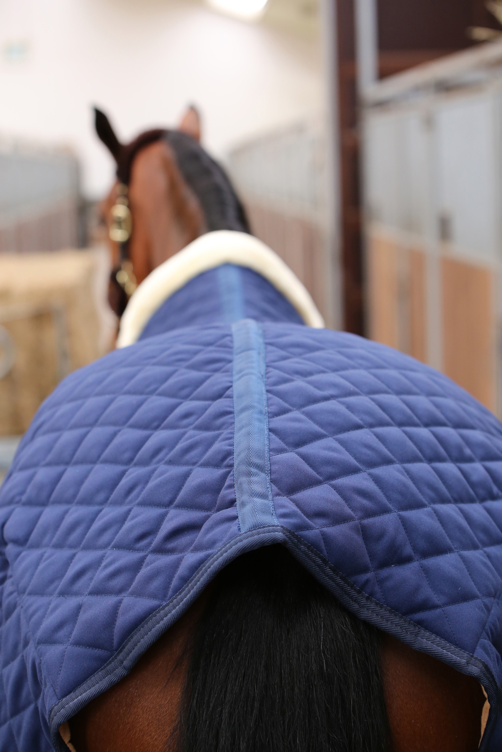 Kentucky Horsewear Stalldecke, 400g