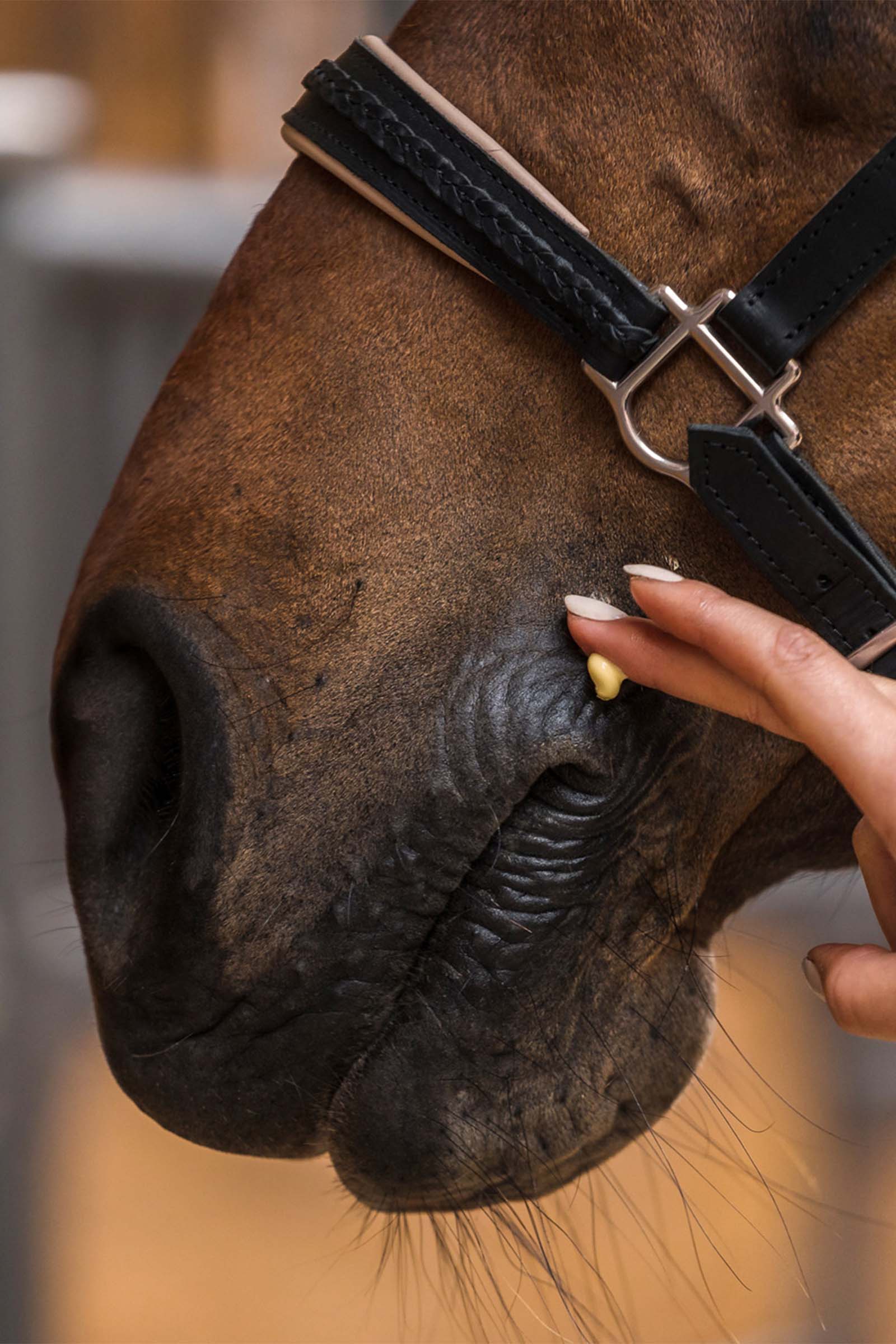 Zedan Calendula Intensiv Balsam, 200ml