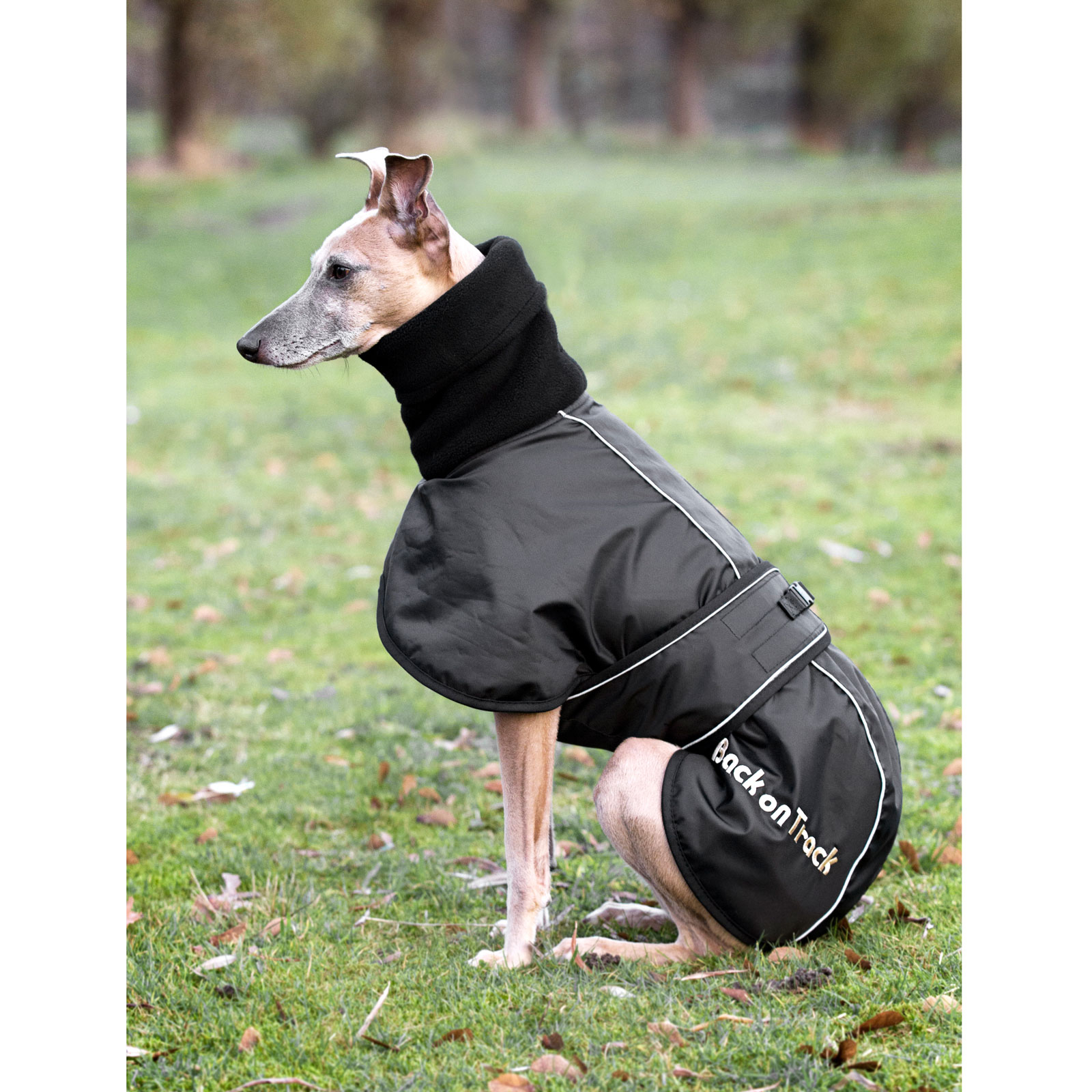 Back on Track Windhund Hundemantel, L-XXL